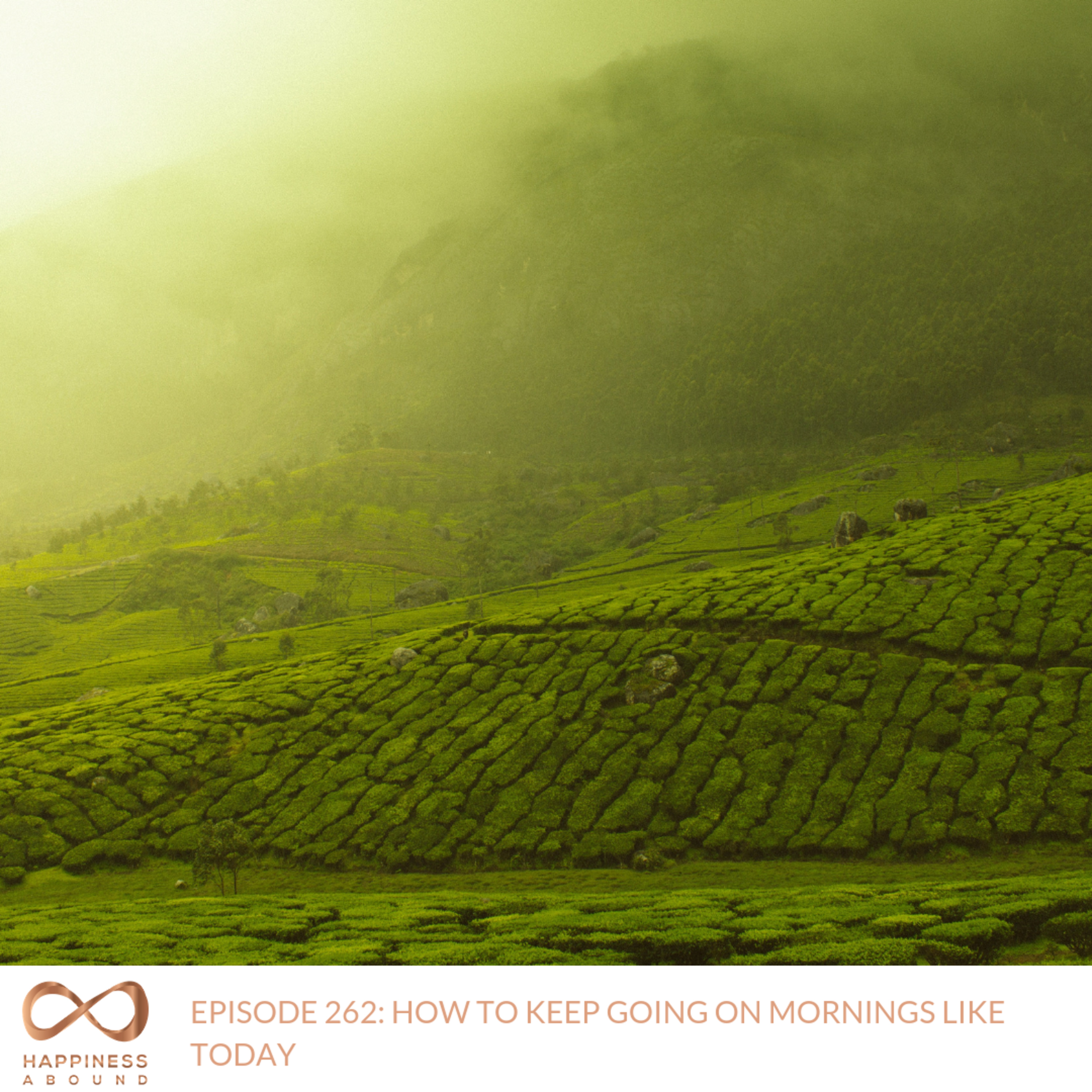 #262: HOW TO KEEP GOING ON MORNINGS LIKE TODAY episode artwork