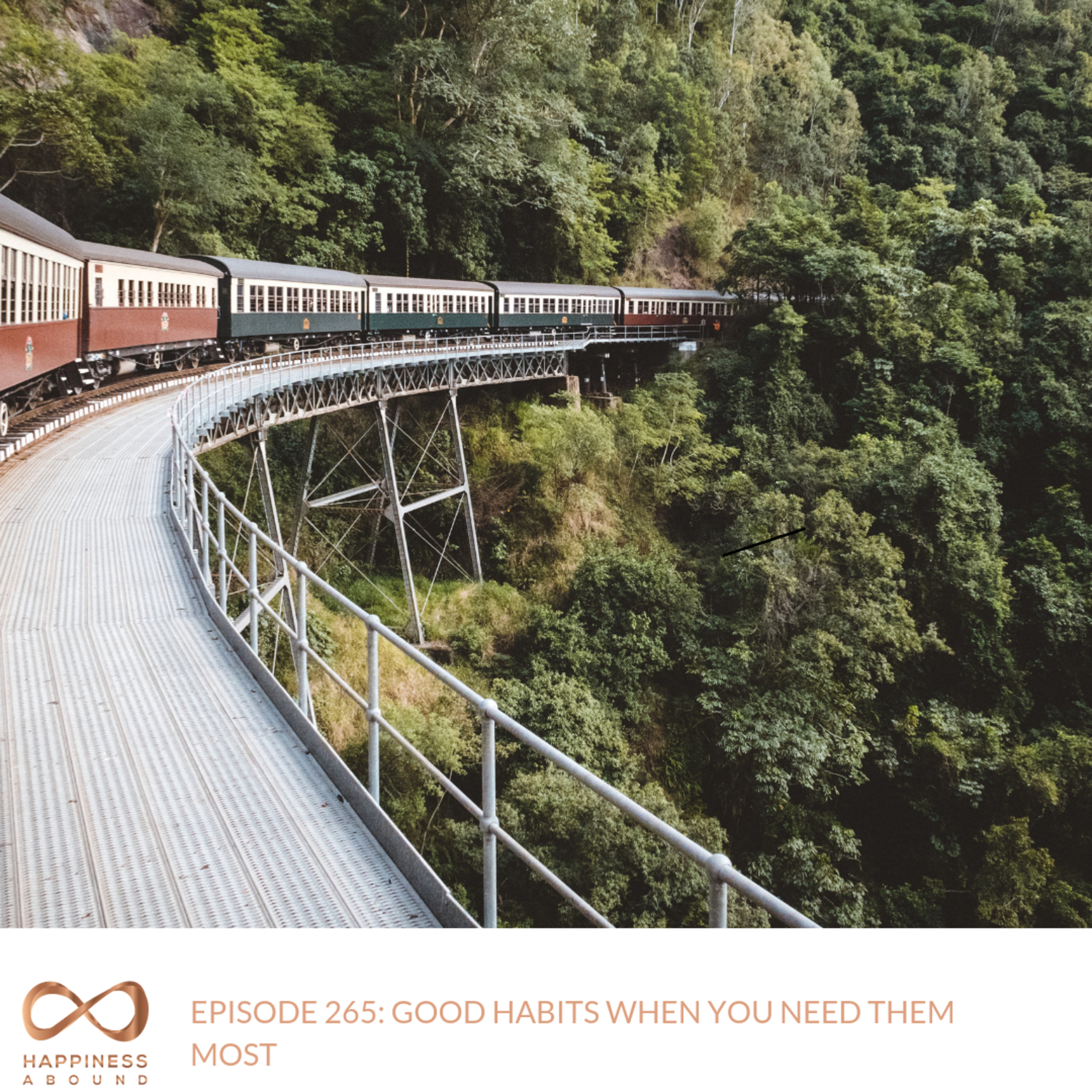 #265: GOOD HABITS WHEN YOU NEED THEM MOST