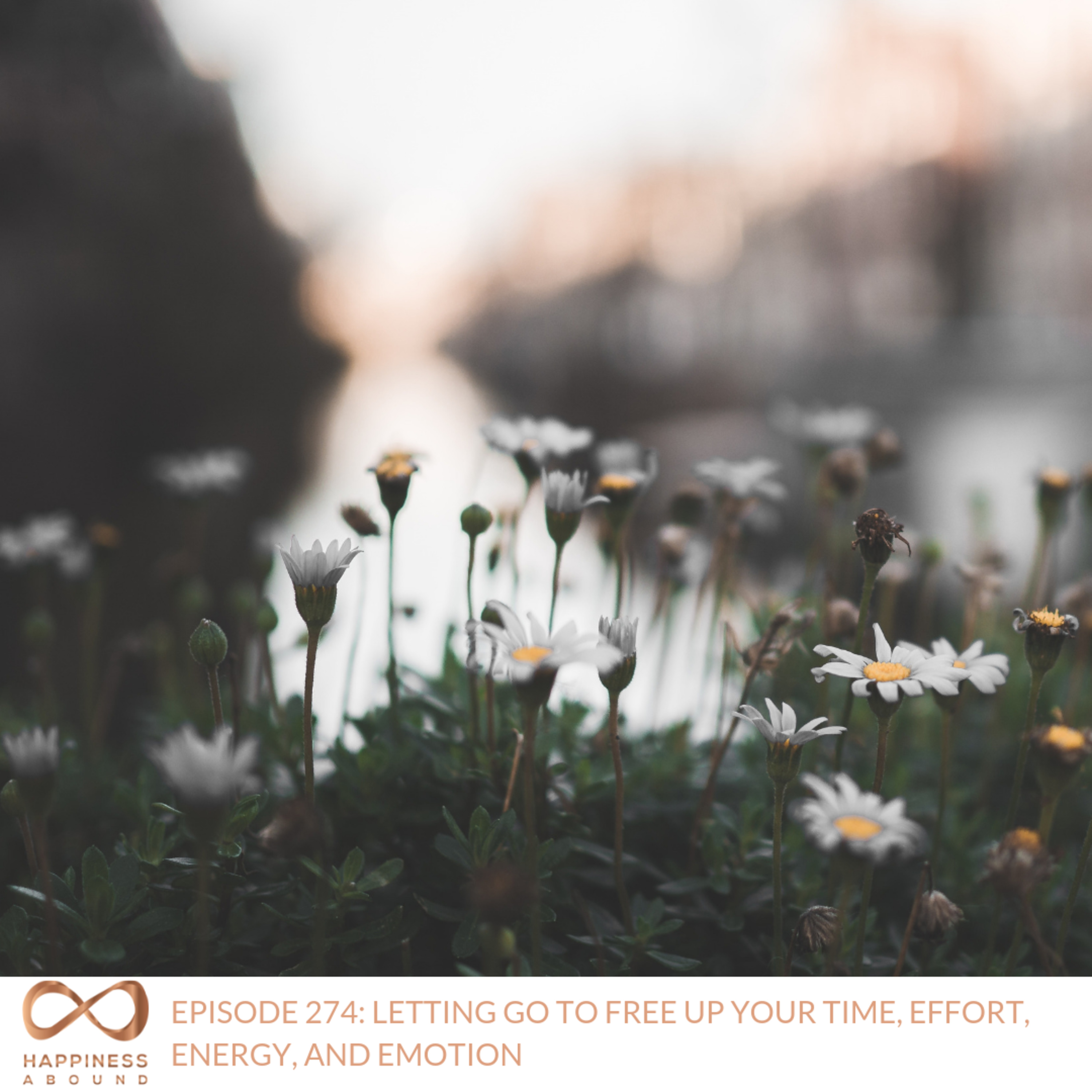 #274: LETTING GO TO FREE UP YOUR TIME, EFFORT, ENERGY, AND EMOTION  episode artwork