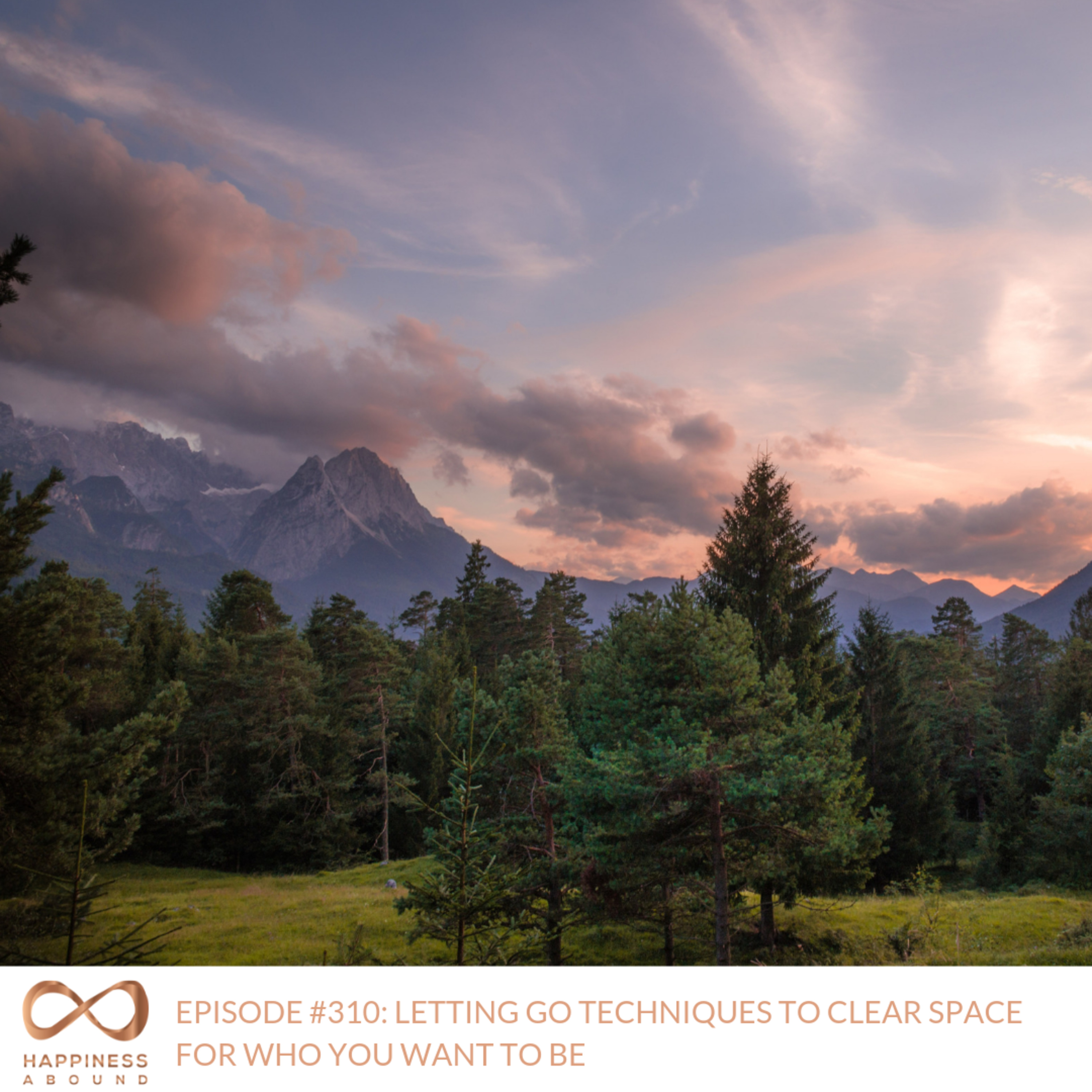 #310: LETTING GO TECHNIQUES TO CLEAR SPACE FOR WHO YOU WANT TO BE episode artwork