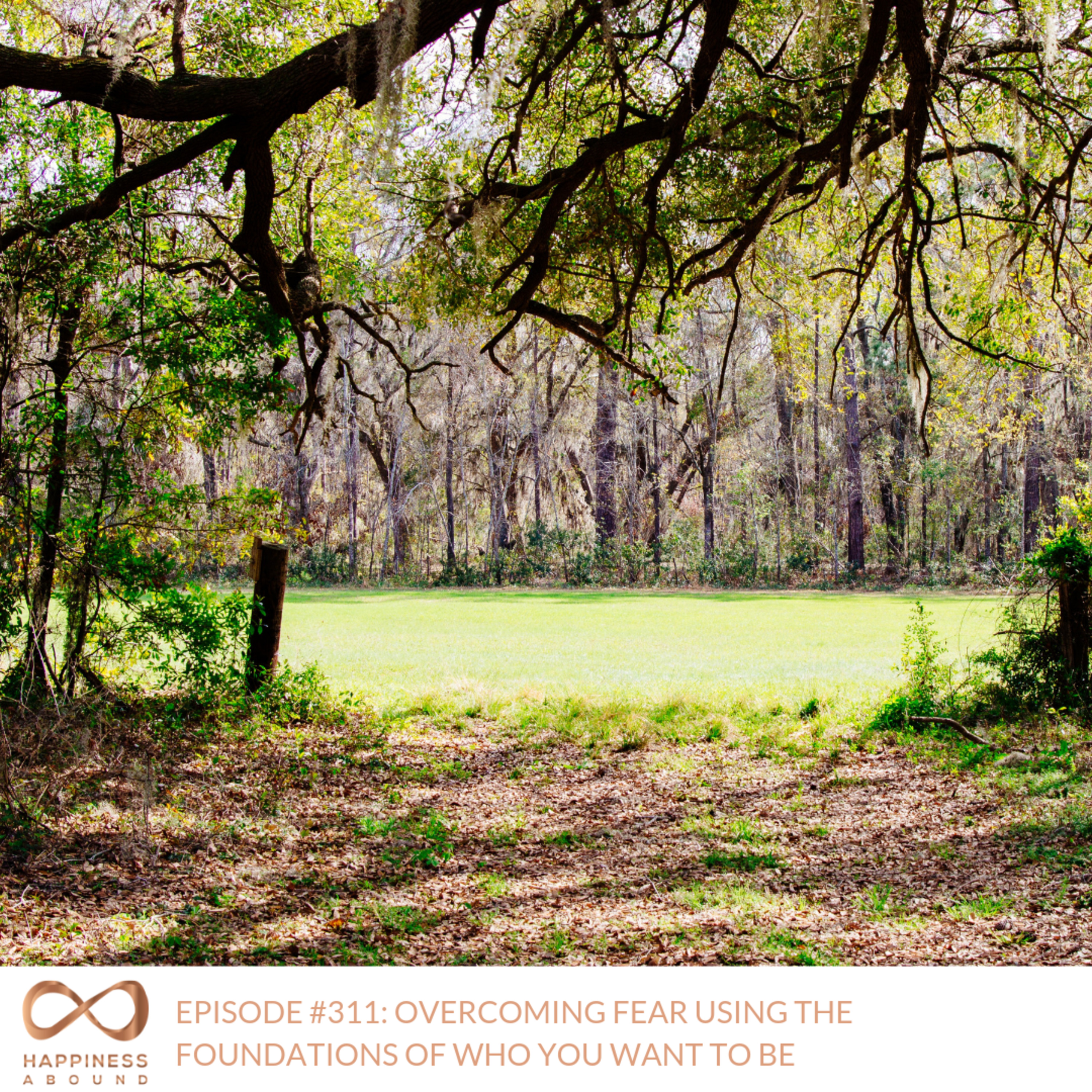 #311: OVERCOMING FEAR USING THE FOUNDATIONS OF WHO YOU WANT TO BE episode artwork