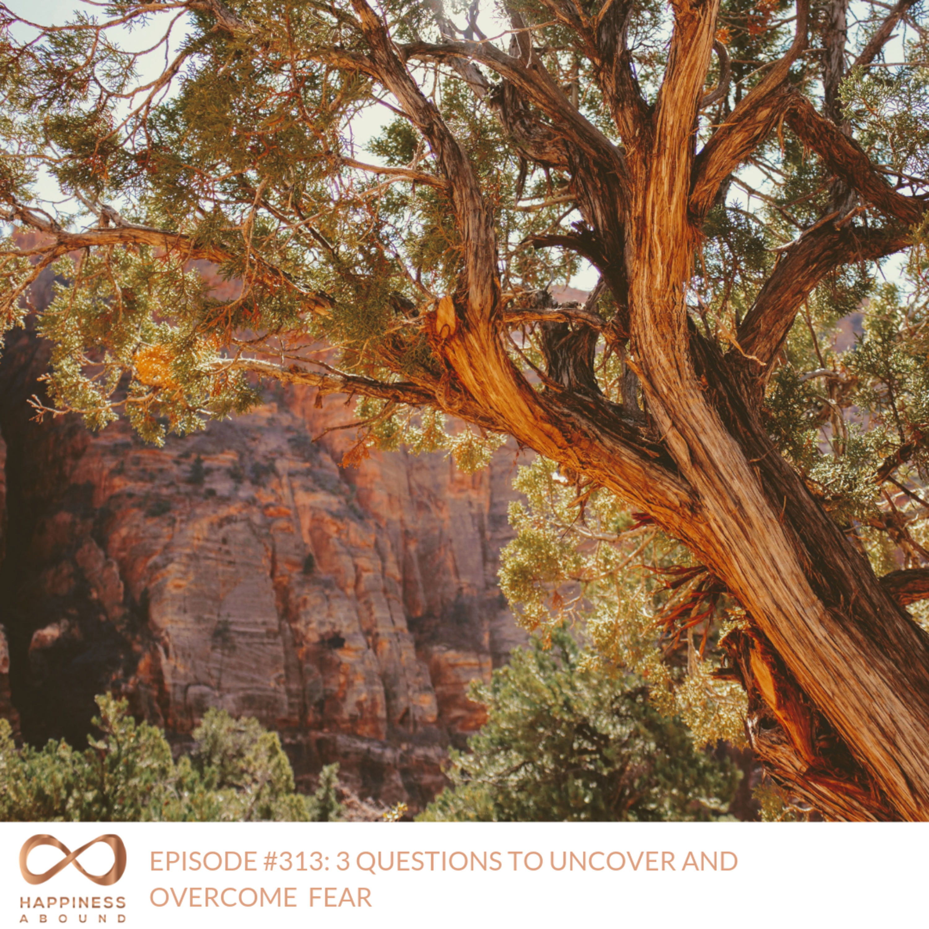 #313: 3 QUESTIONS TO UNCOVER AND OVERCOME FEAR
