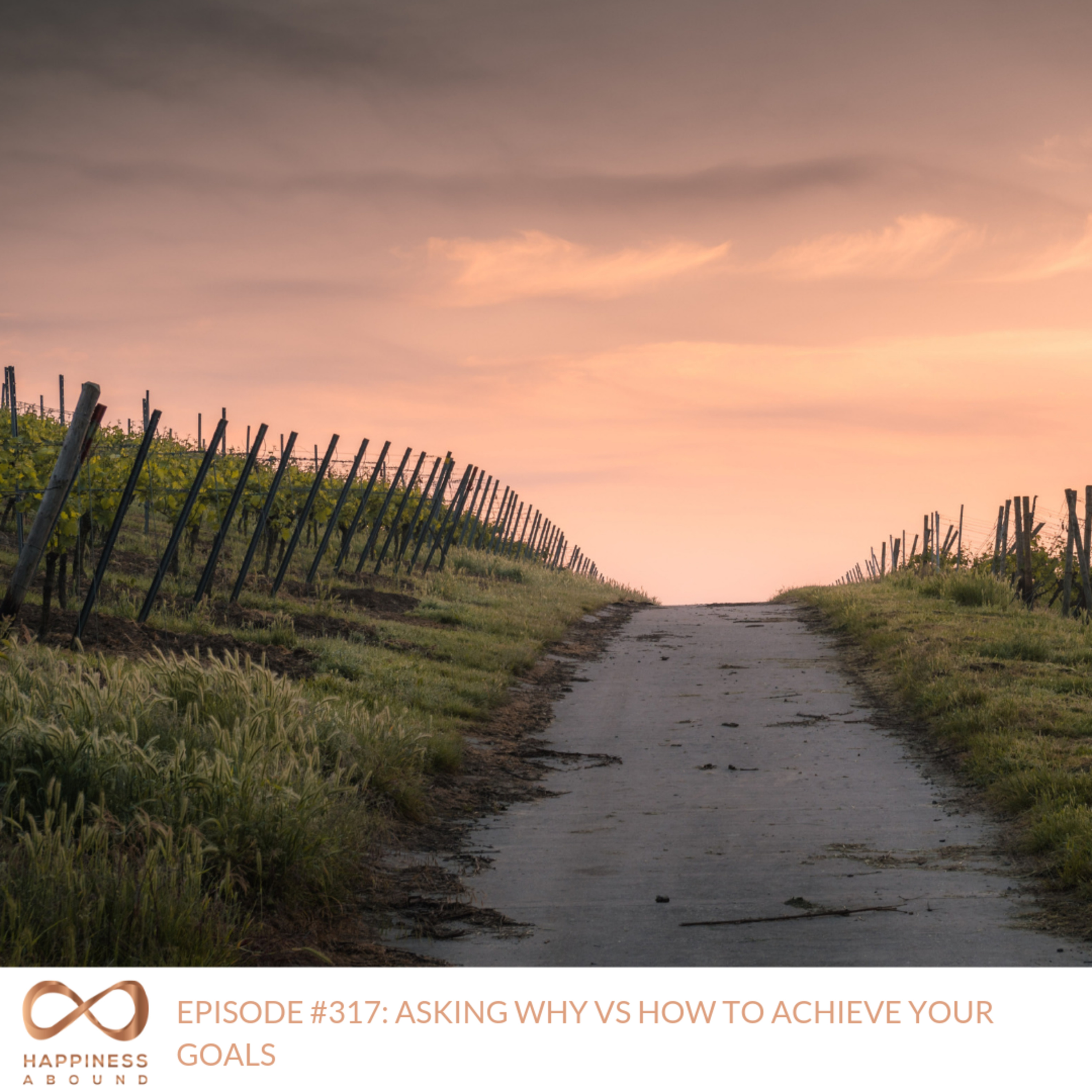 #317: ASKING WHY VS HOW TO ACHIEVE YOUR GOALS
