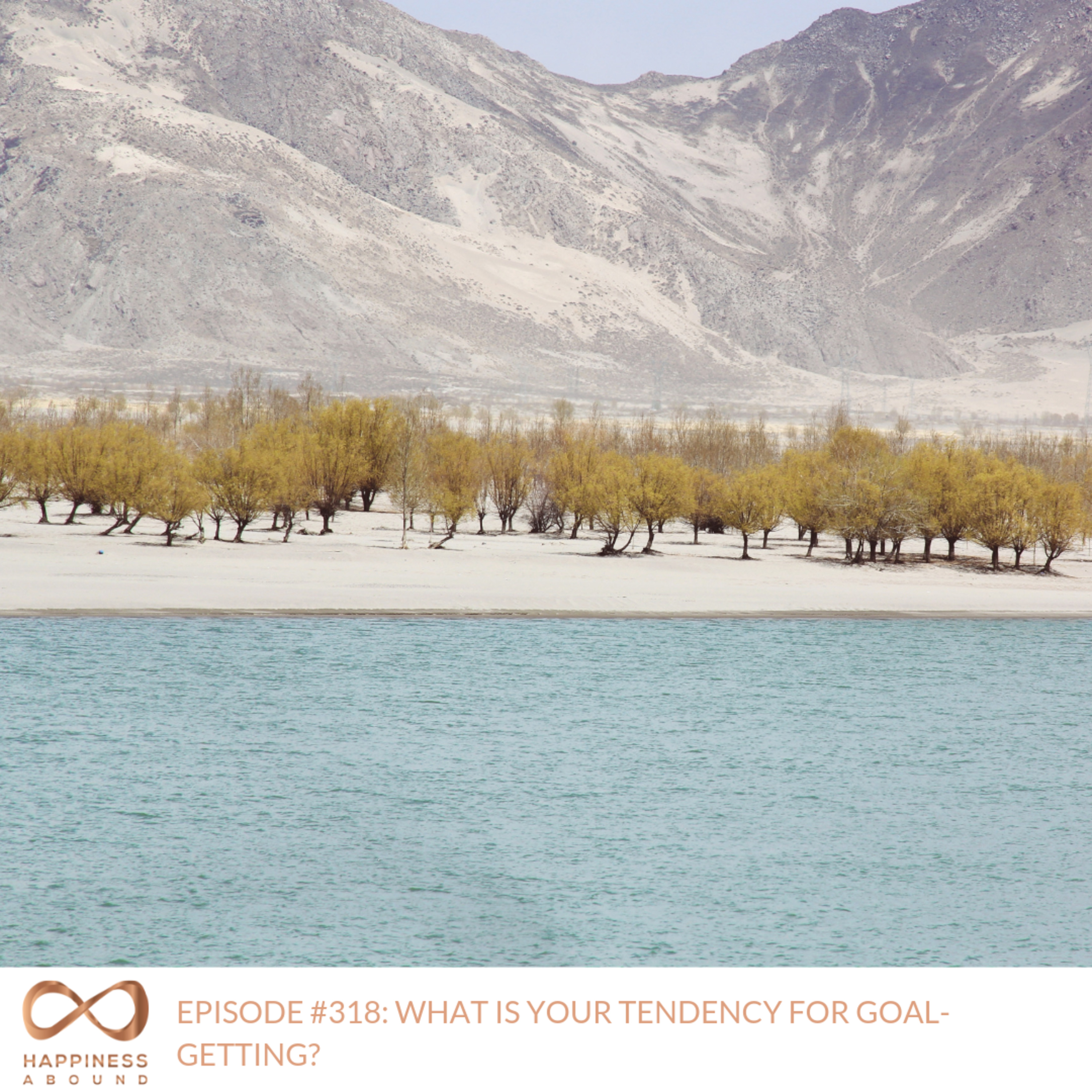 #318: WHAT IS YOUR TENDENCY FOR GOAL-GETTING?
