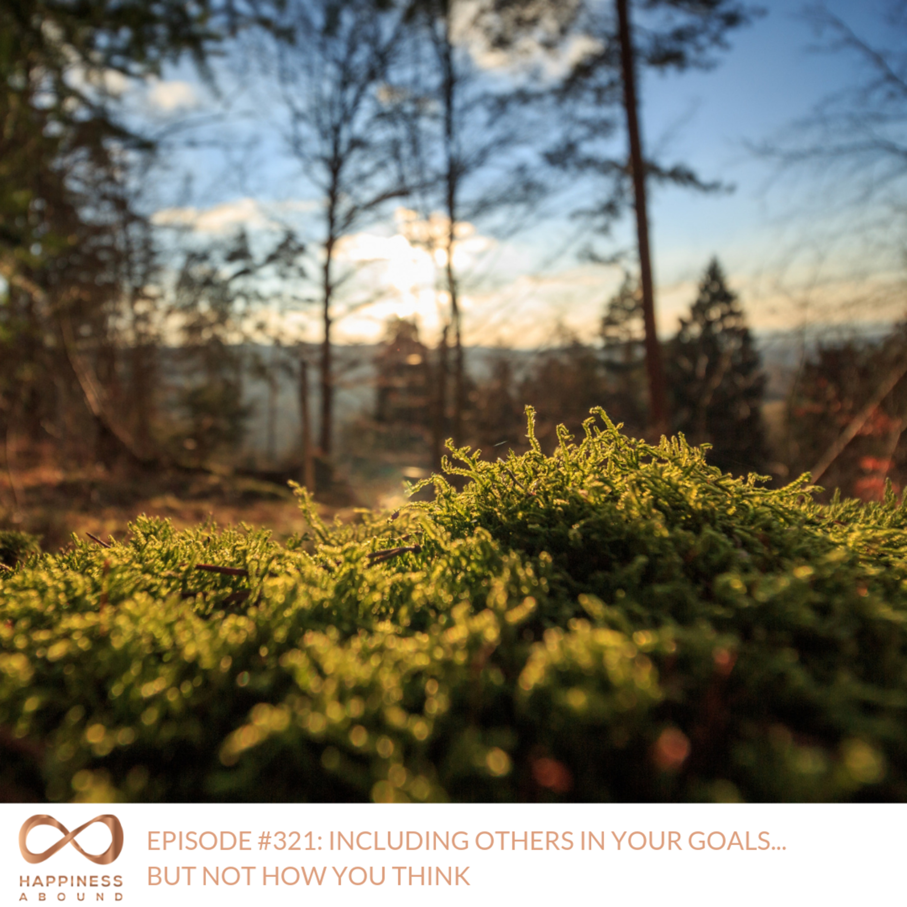 #321: INCLUDING OTHERS IN YOUR GOALS... BUT NOT HOW YOU THINK episode artwork