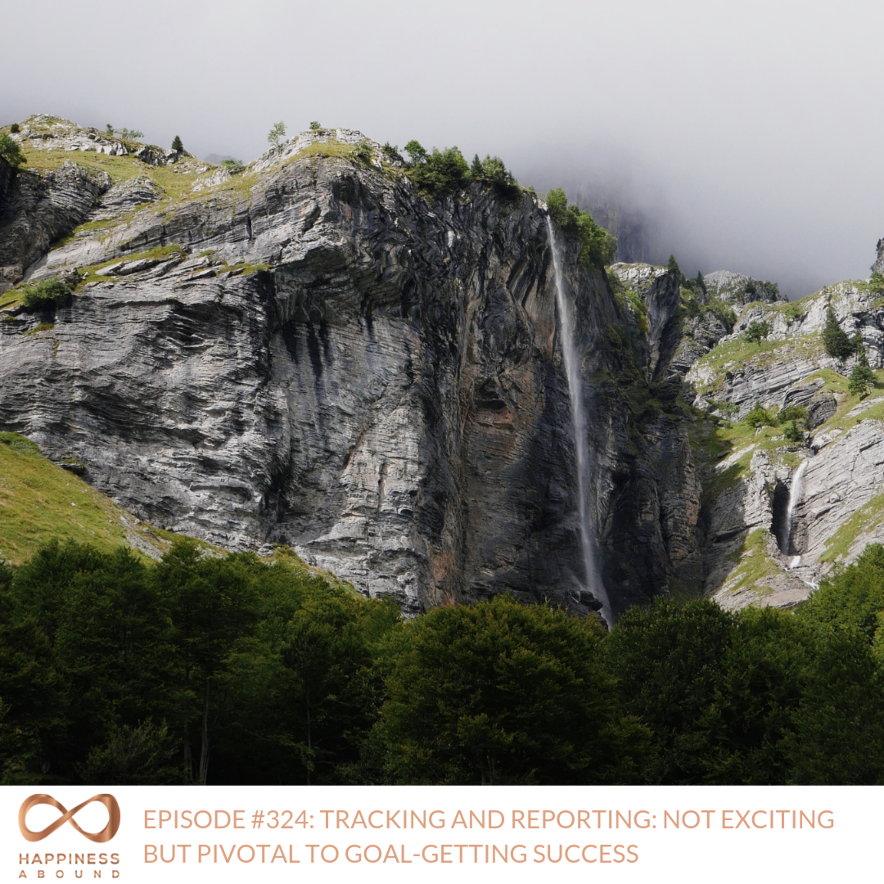 #324: TRACKING AND REPORTING: NOT EXCITING BUT PIVOTAL TO GOAL-GETTING SUCCESS episode artwork
