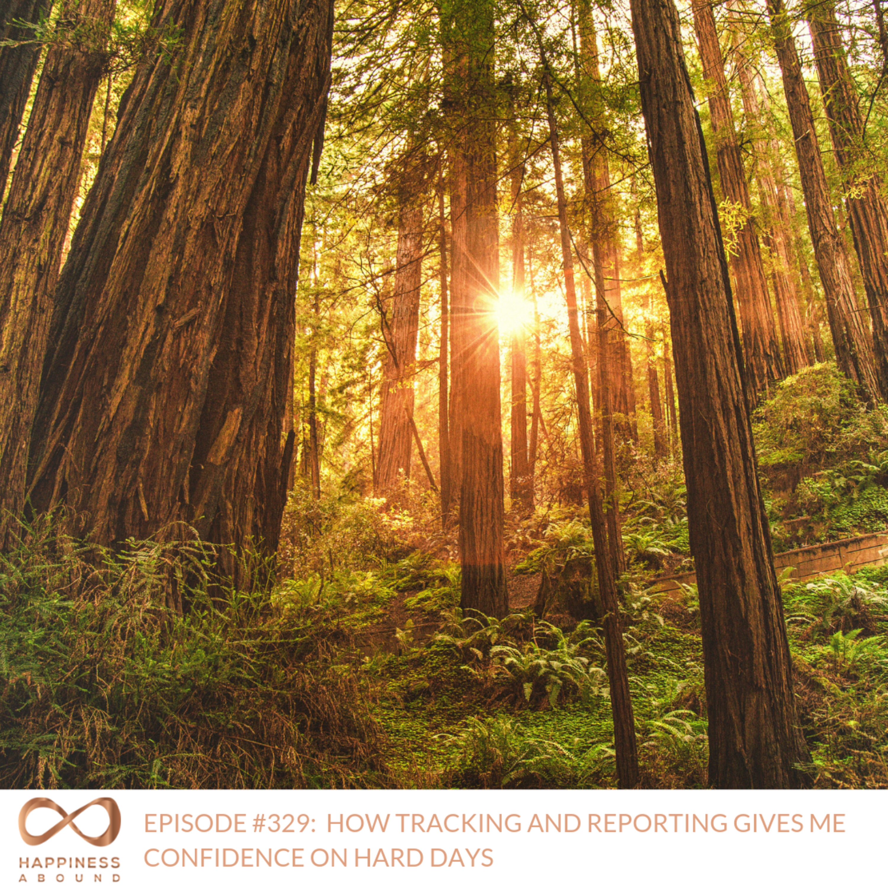 HOW TRACKING AND REPORTING GIVES ME CONFIDENCE ON HARD DAYS
