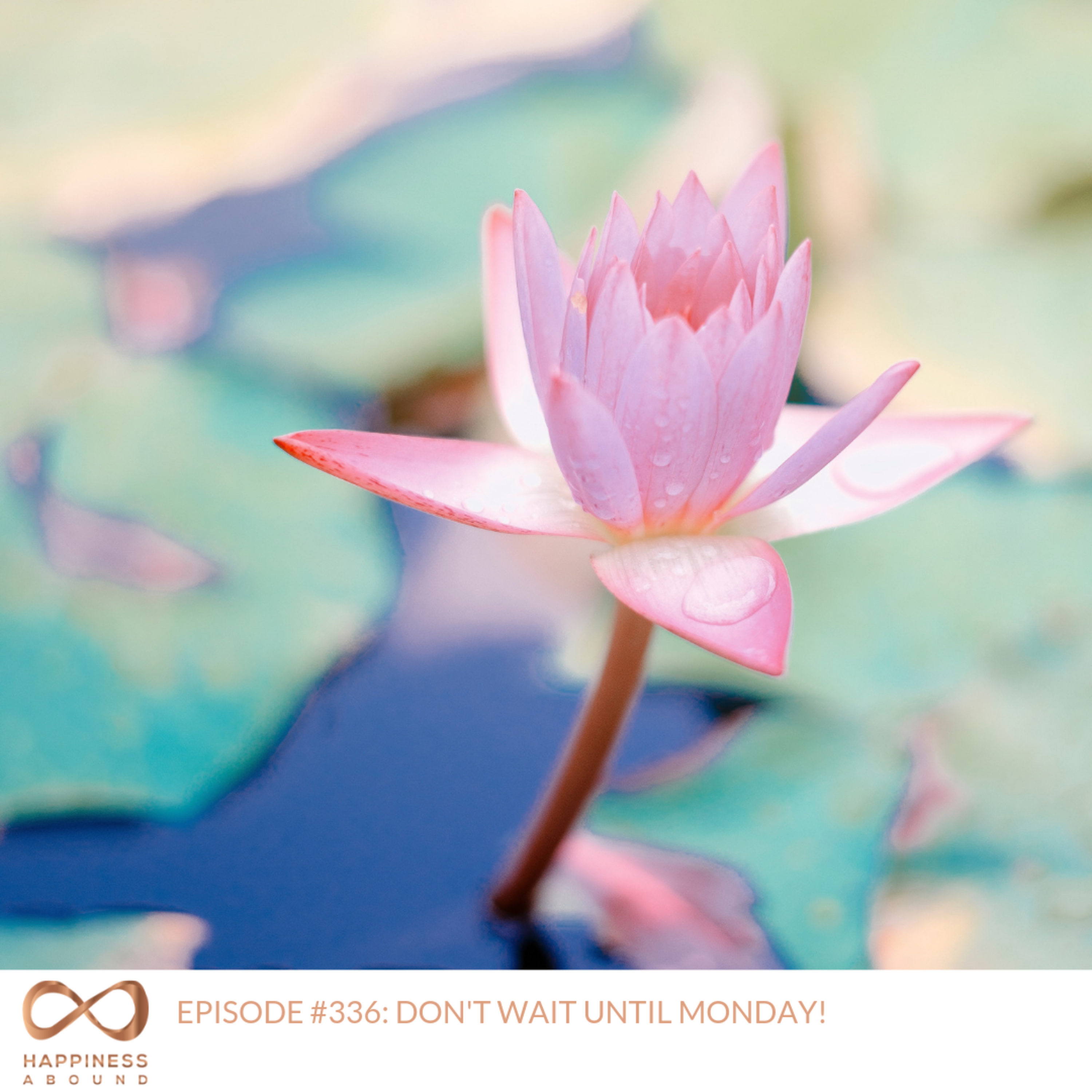 DON'T WAIT UNTIL MONDAY!  episode artwork