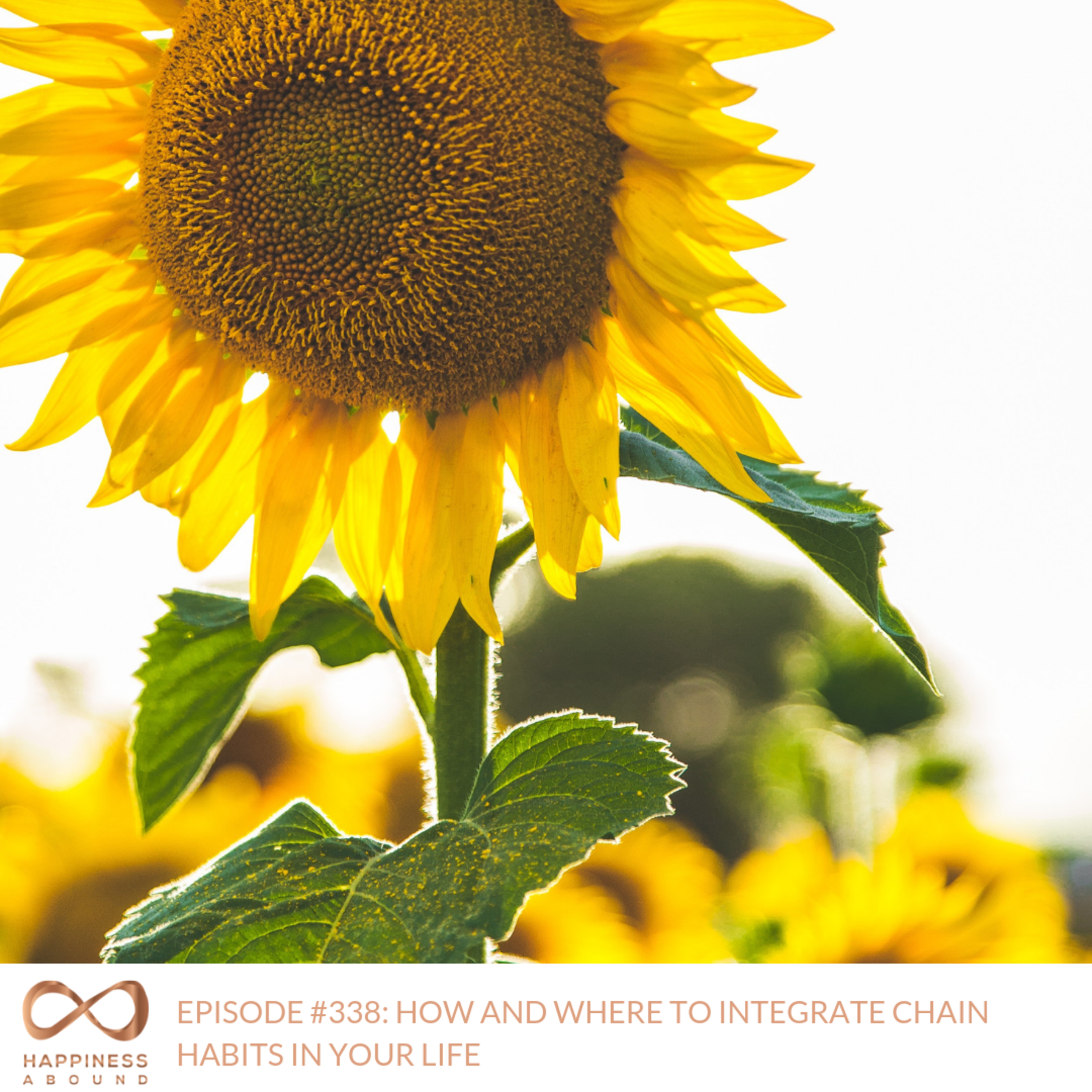 HOW AND WHERE TO INTEGRATE CHAIN HABITS IN YOUR LIFE episode artwork
