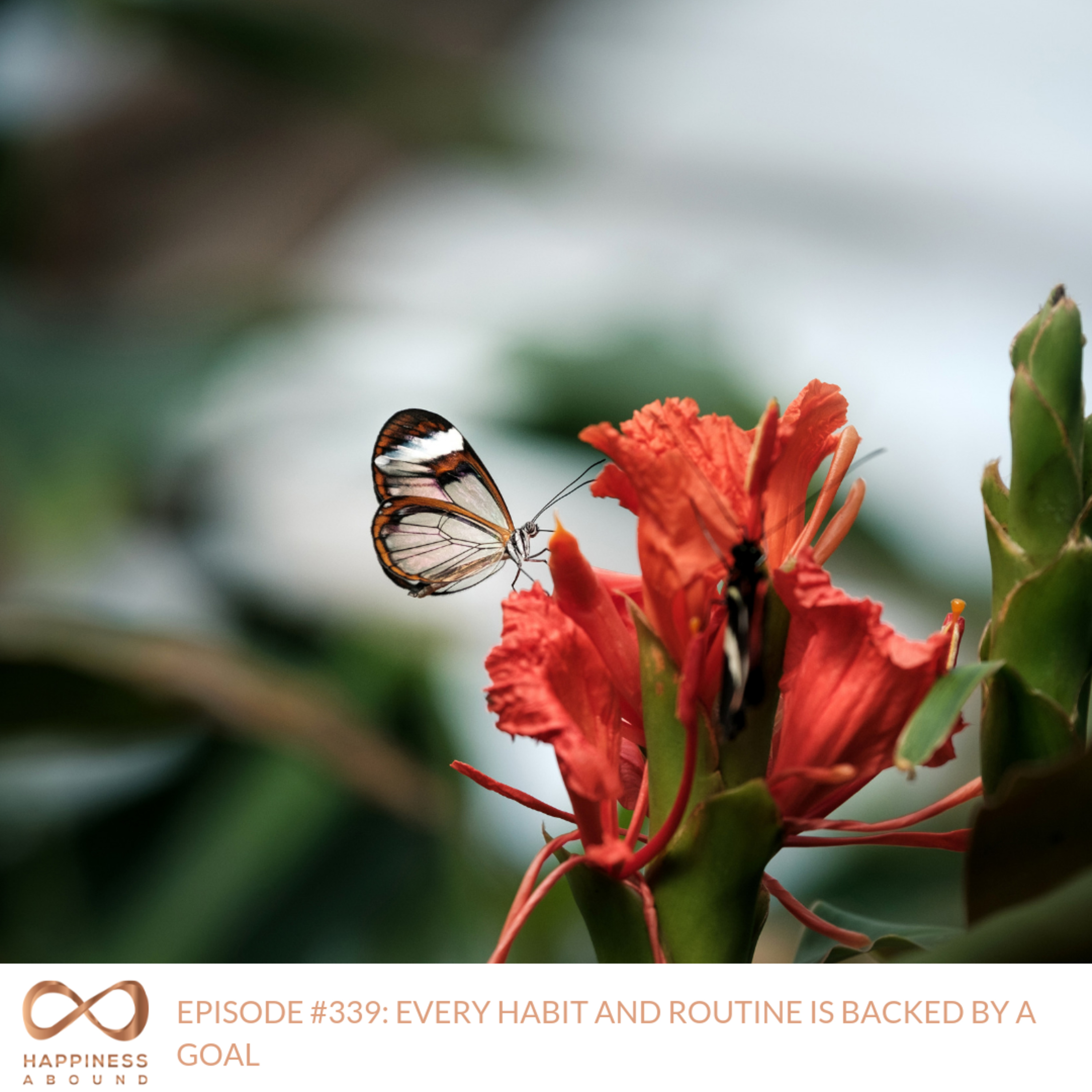 EVERY HABIT AND ROUTINE IS BACKED BY A GOAL episode artwork