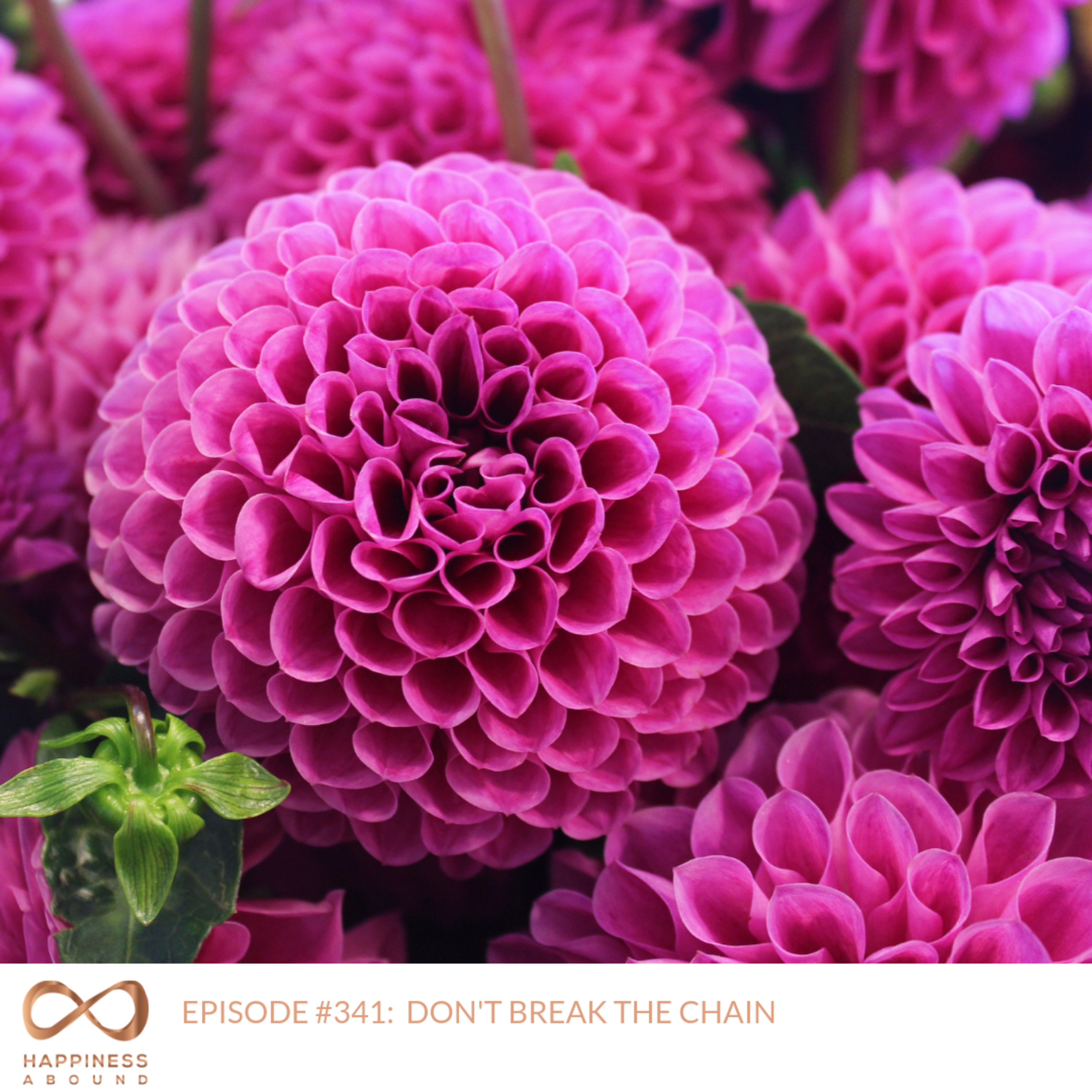 DON'T BREAK THE CHAIN episode artwork