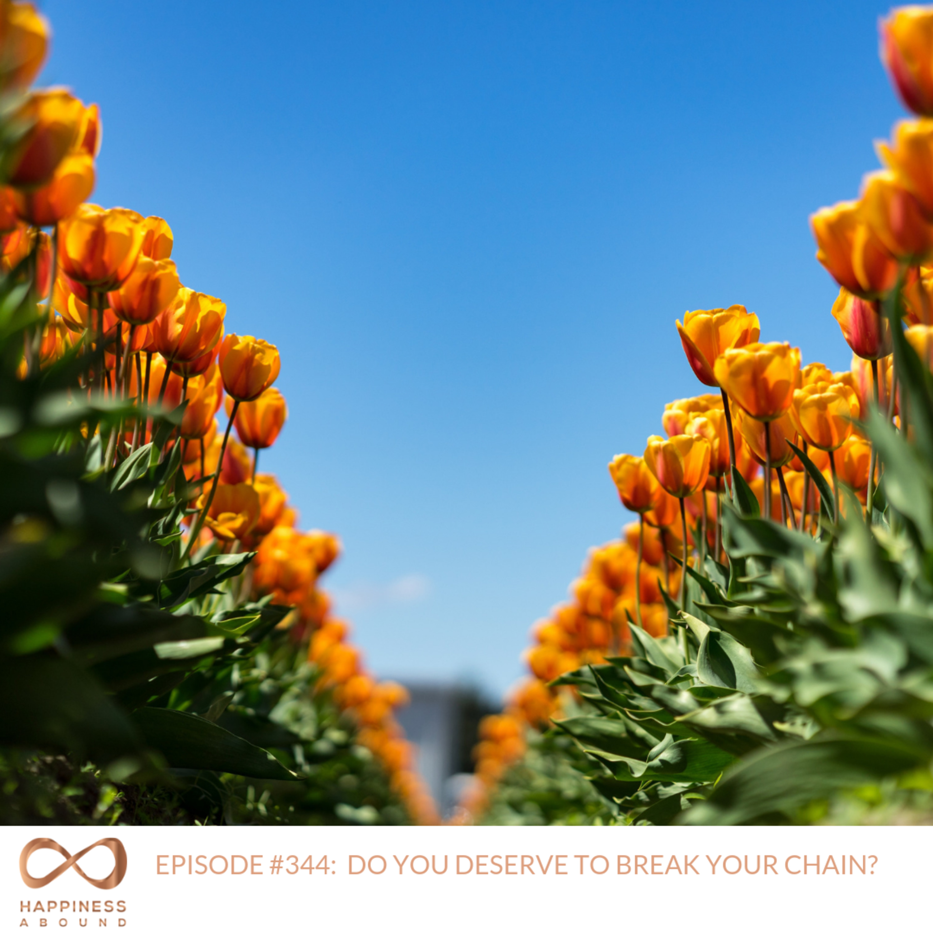 DO YOU DESERVE TO BREAK YOUR CHAIN?