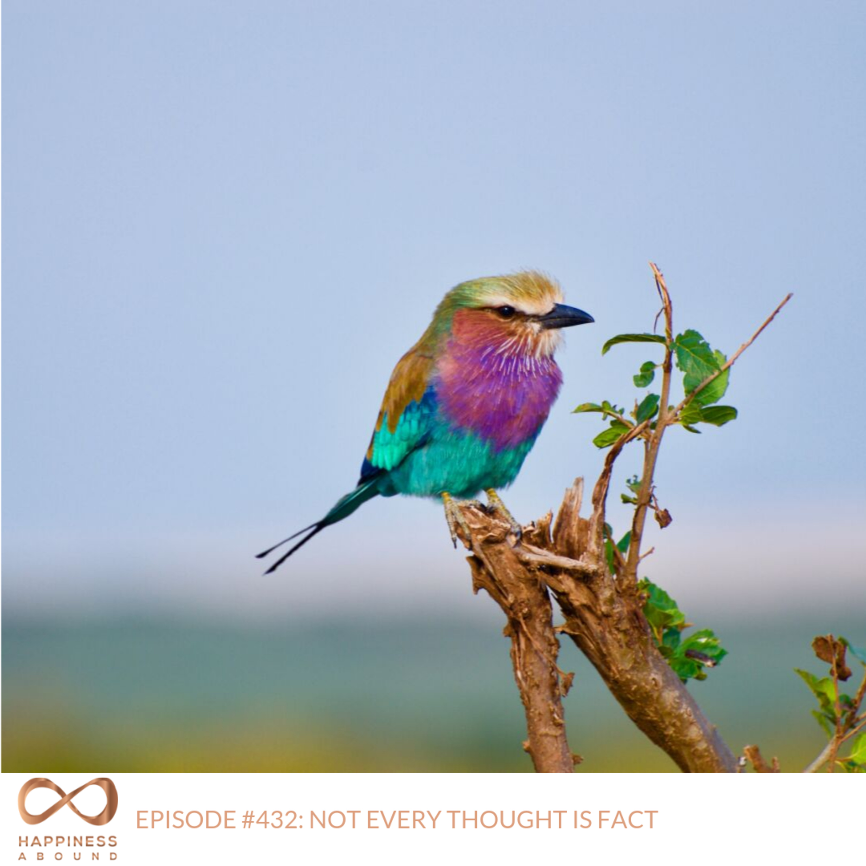 NOT EVERY THOUGHT IS FACT episode artwork