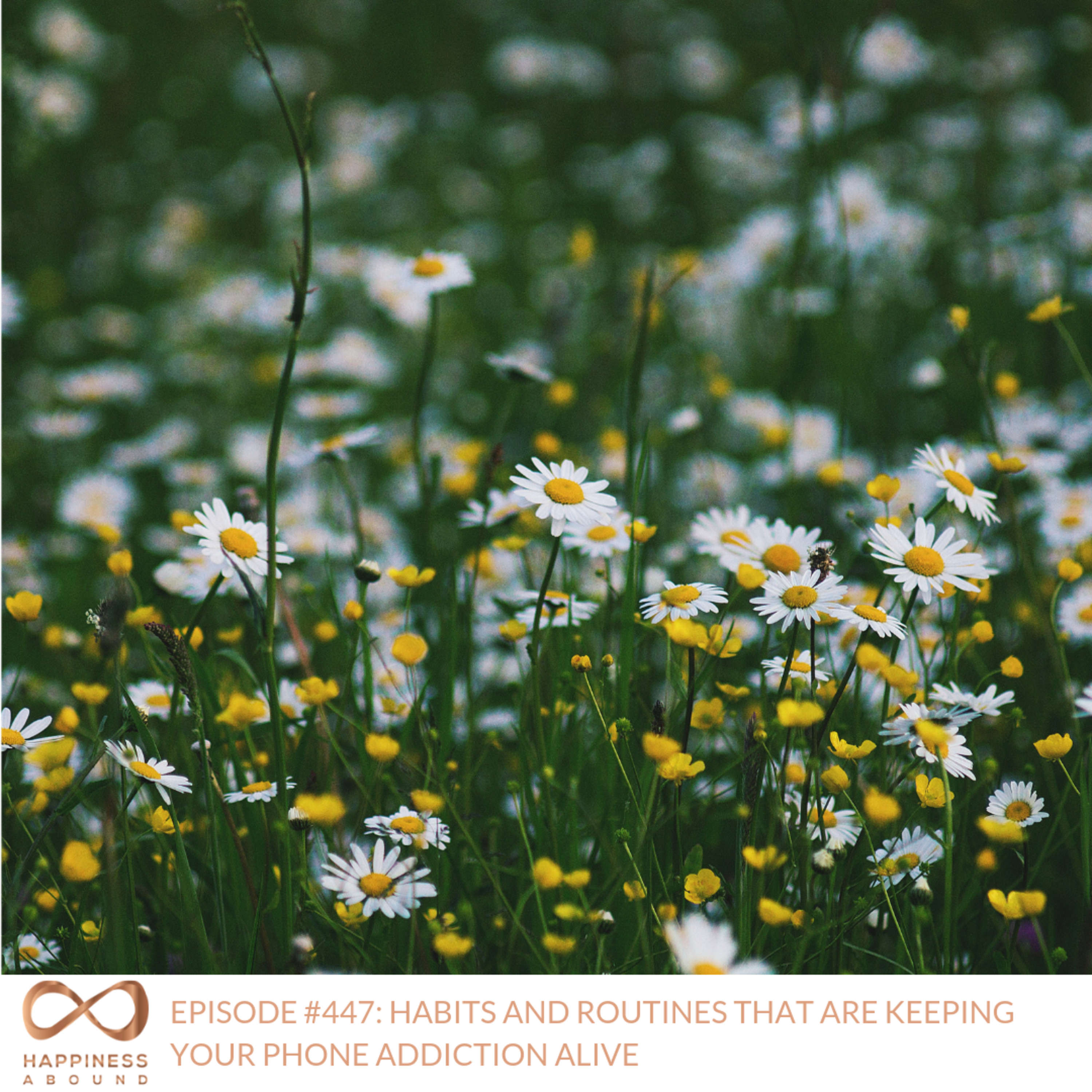 HABITS AND ROUTINES THAT ARE KEEPING YOUR PHONE ADDICTION ALIVE  episode artwork