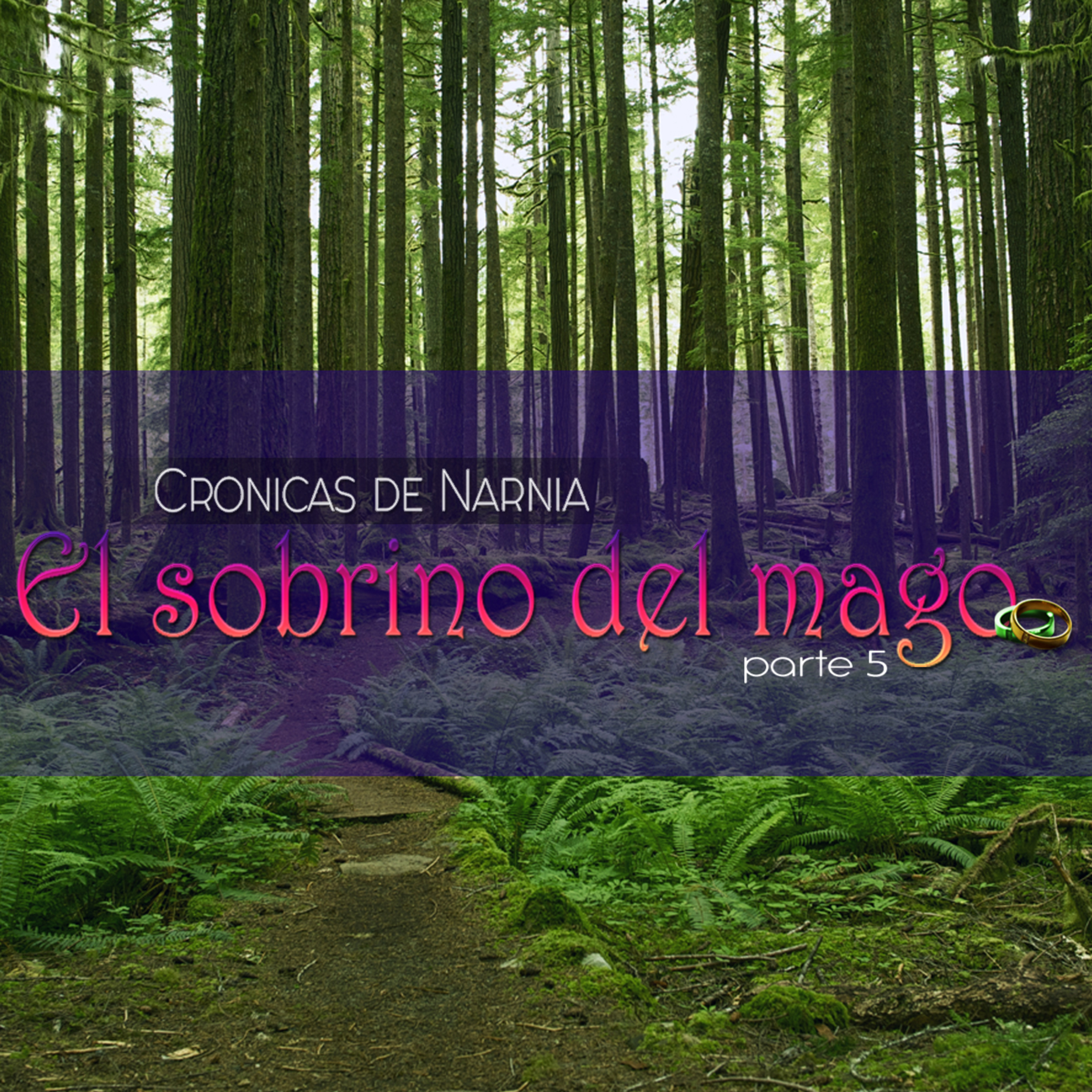 Amoxtli audiolibros 2.0