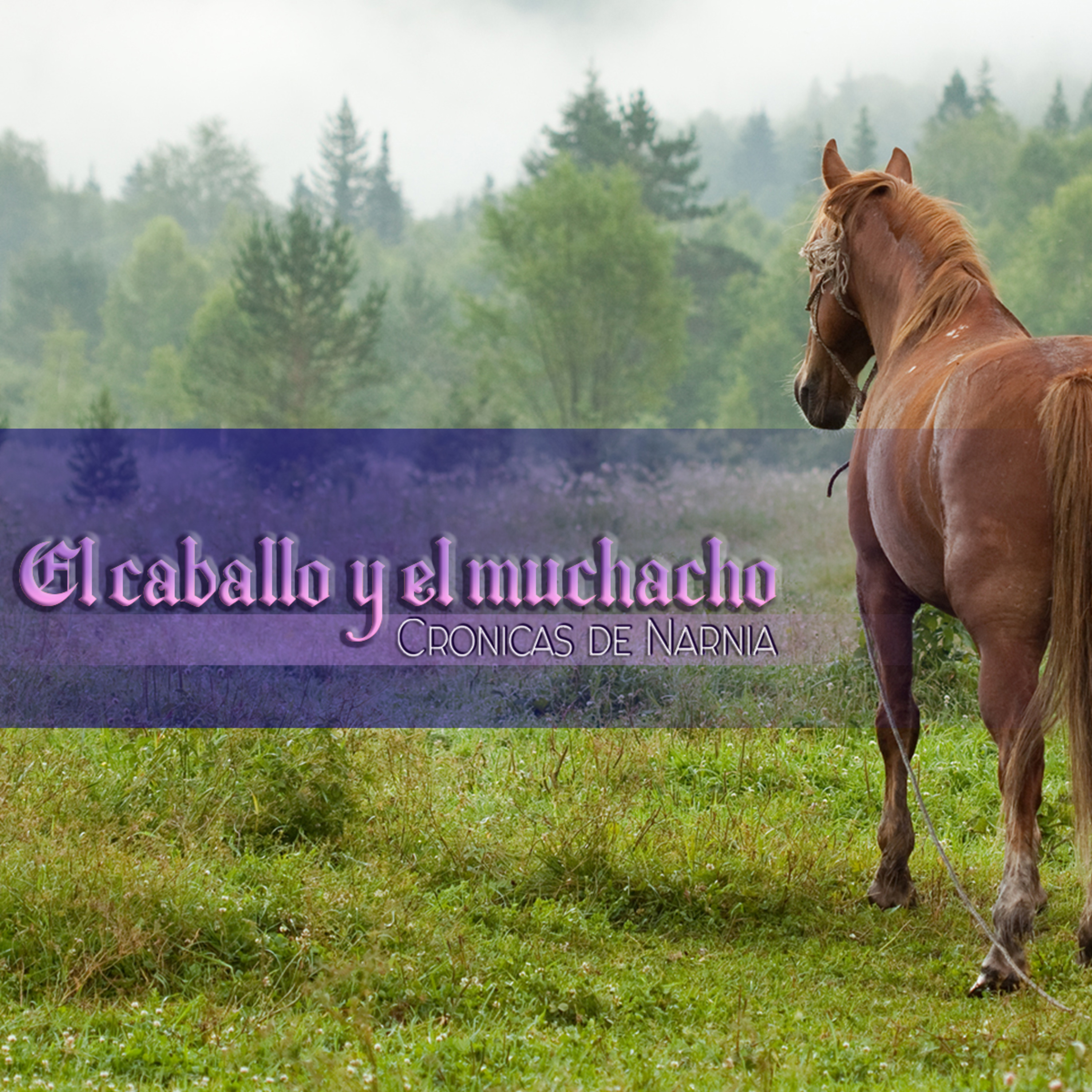 Amoxtli audiolibros 2.0