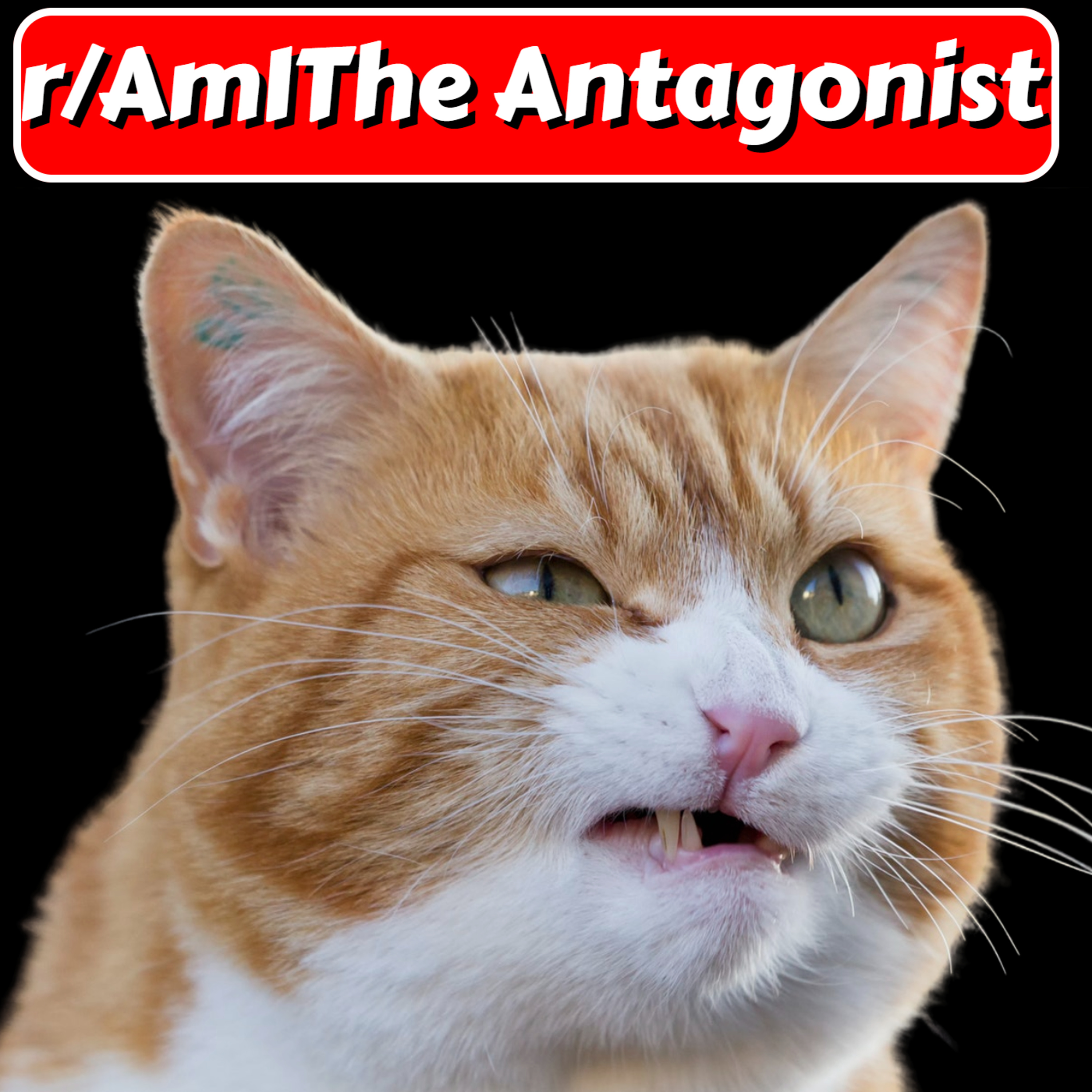 The Silver Threads Podcast