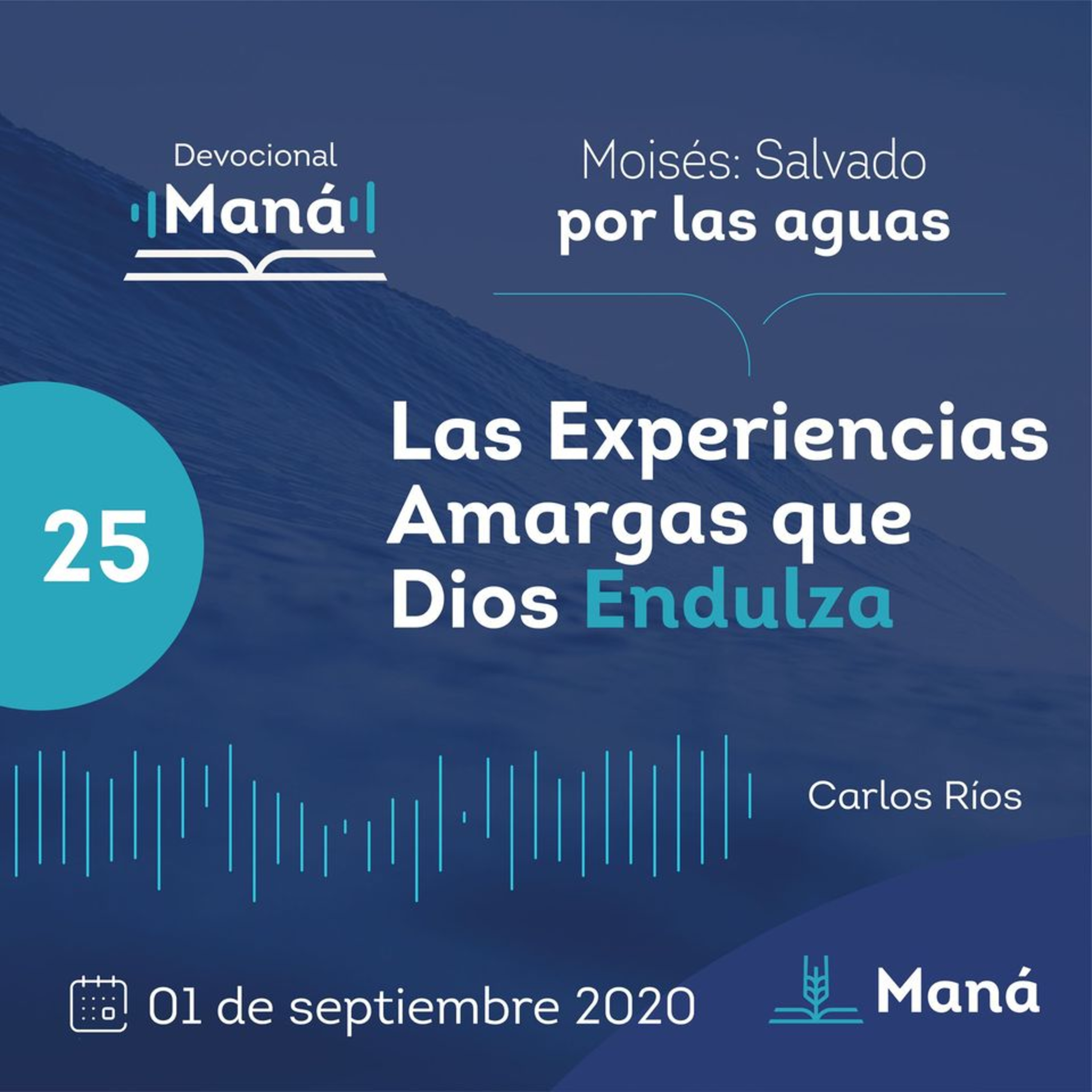 Portada de Devocional Maná