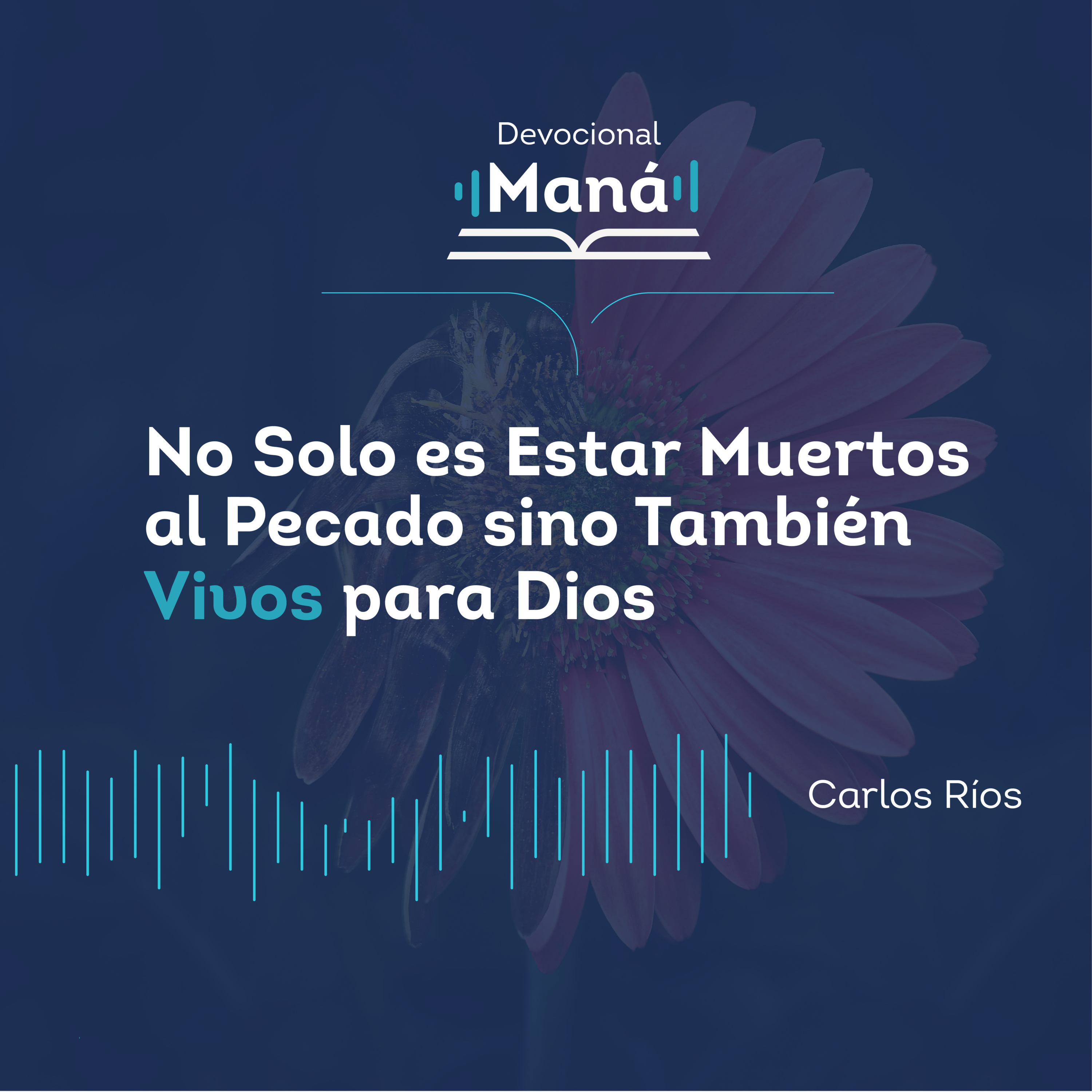 Portada de Devocional Maná