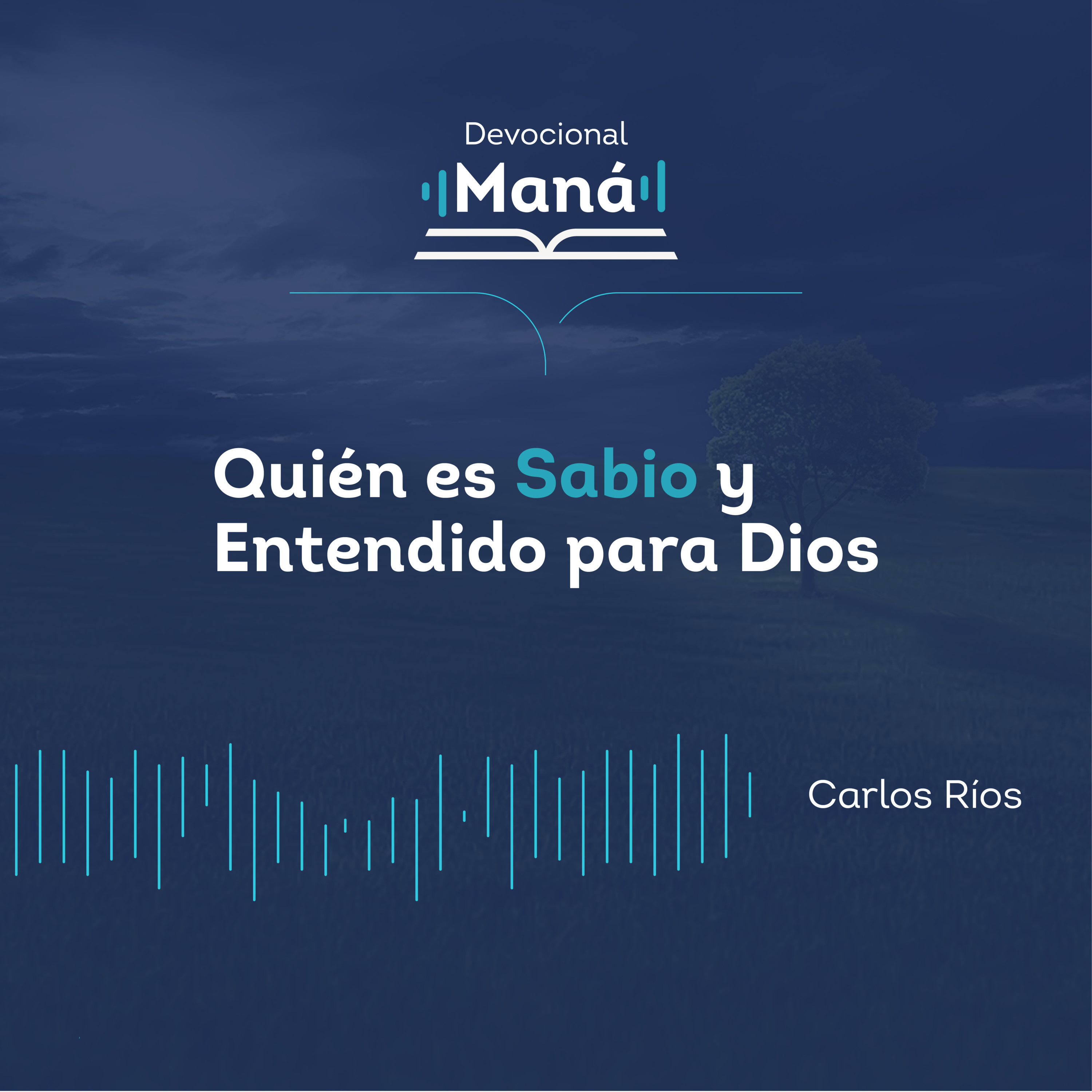 Portada de Devocional Maná