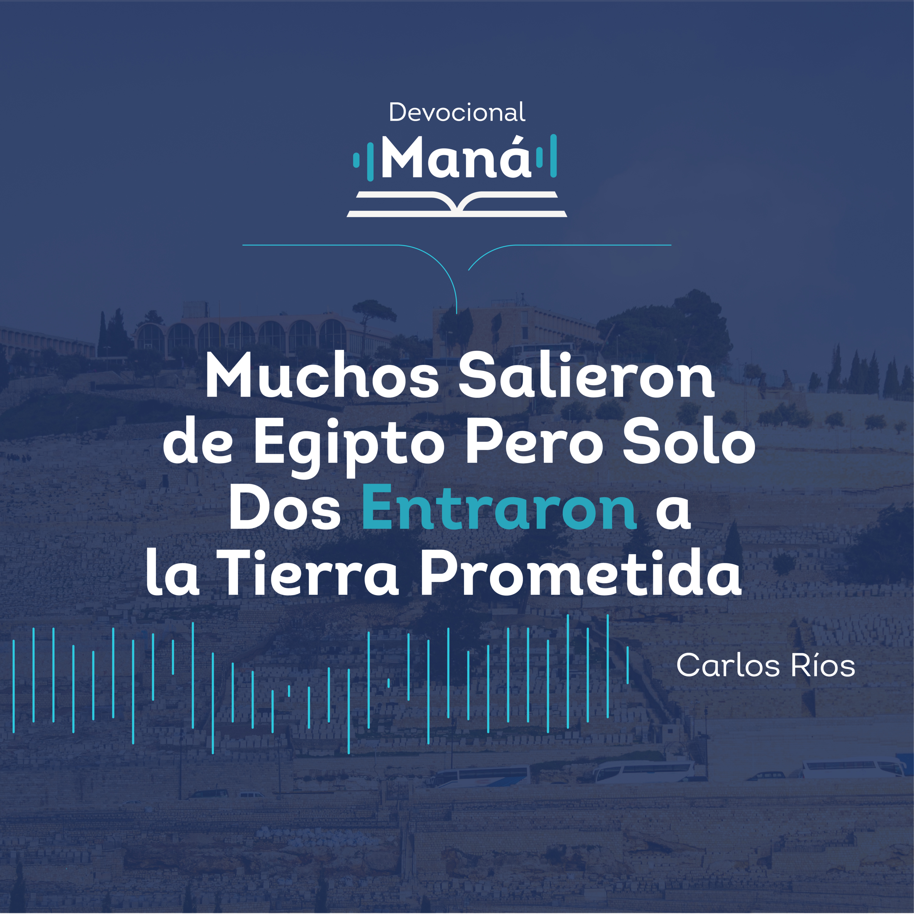 Portada de Devocional Maná