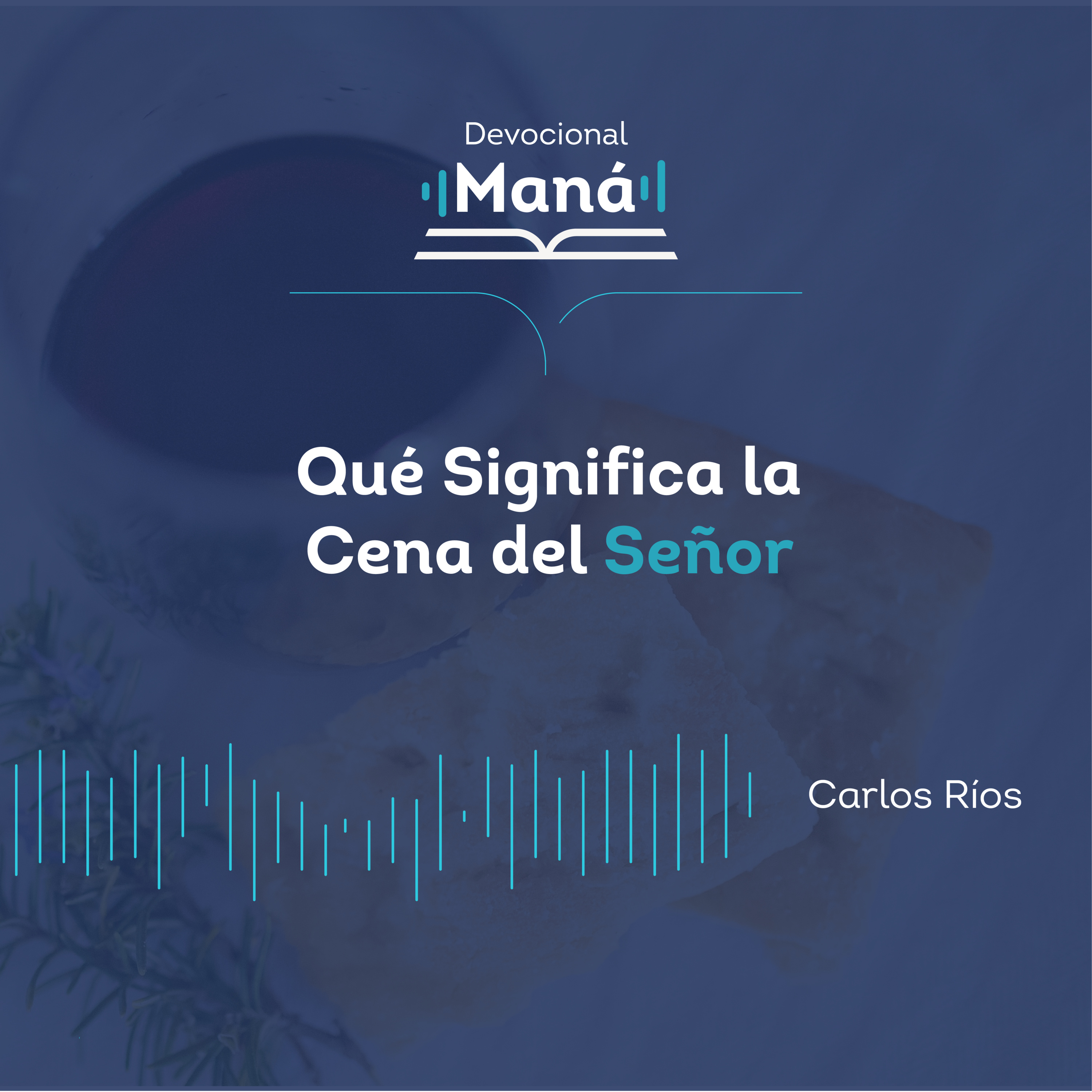 Portada de Devocional Maná