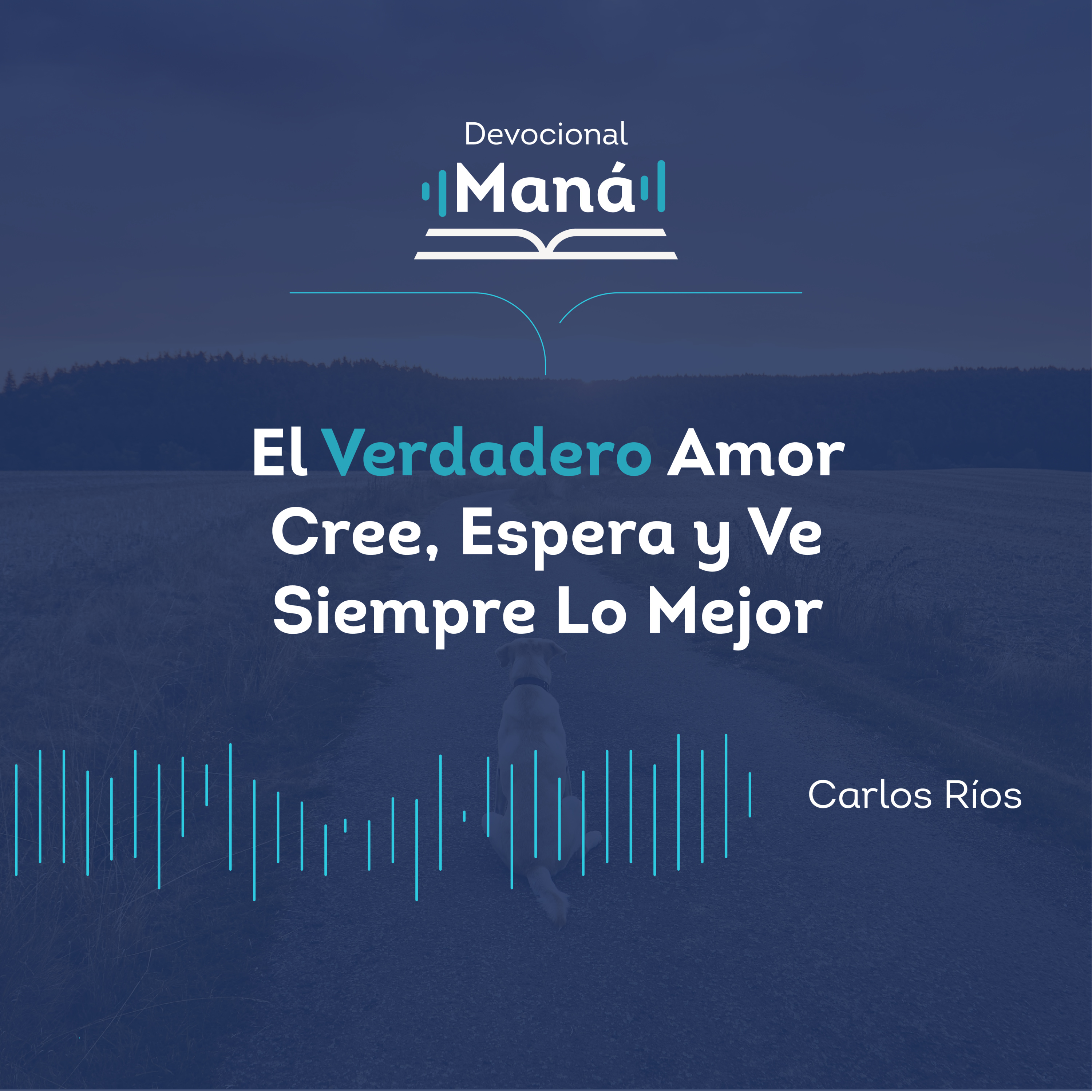 Portada de Devocional Maná