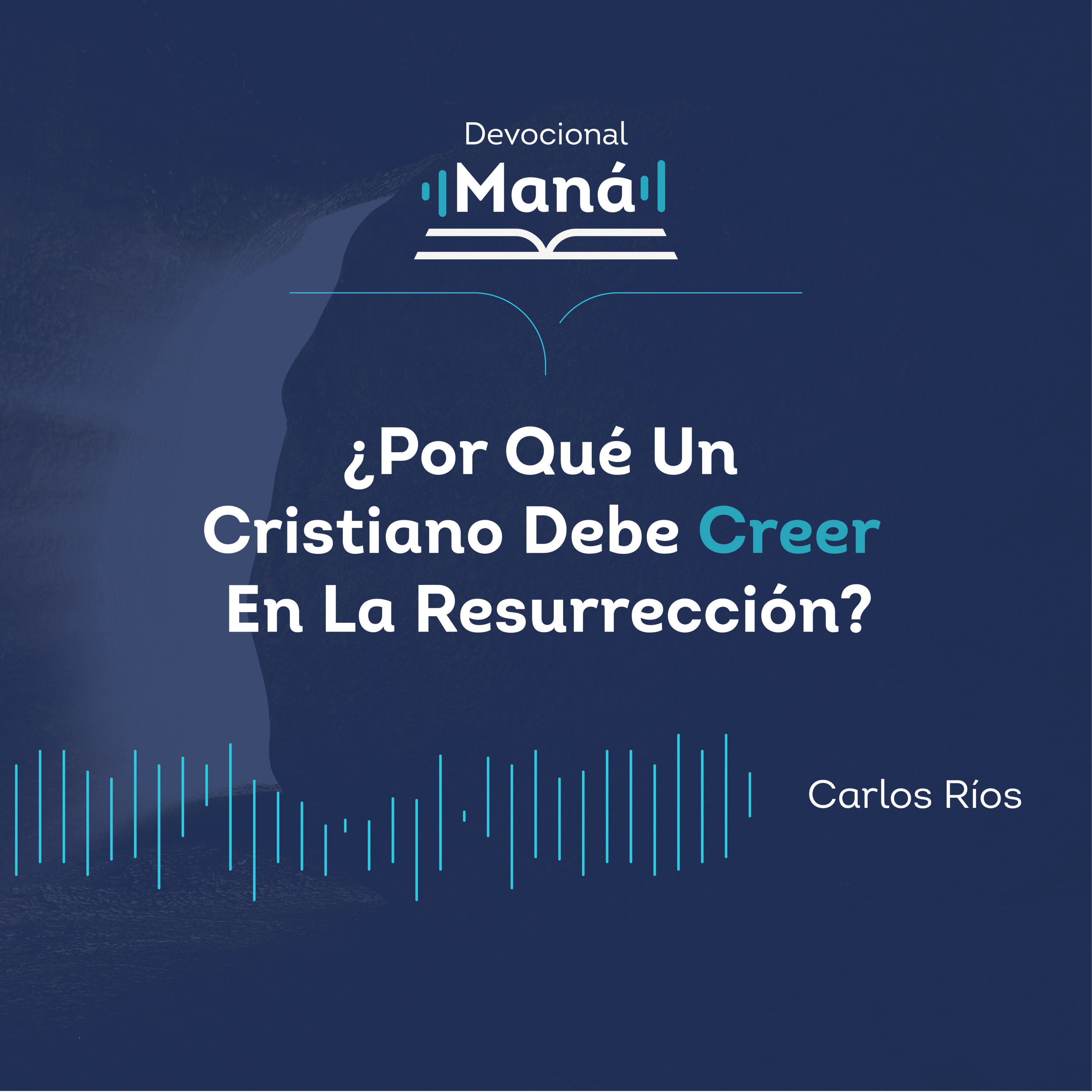 Portada de Devocional Maná