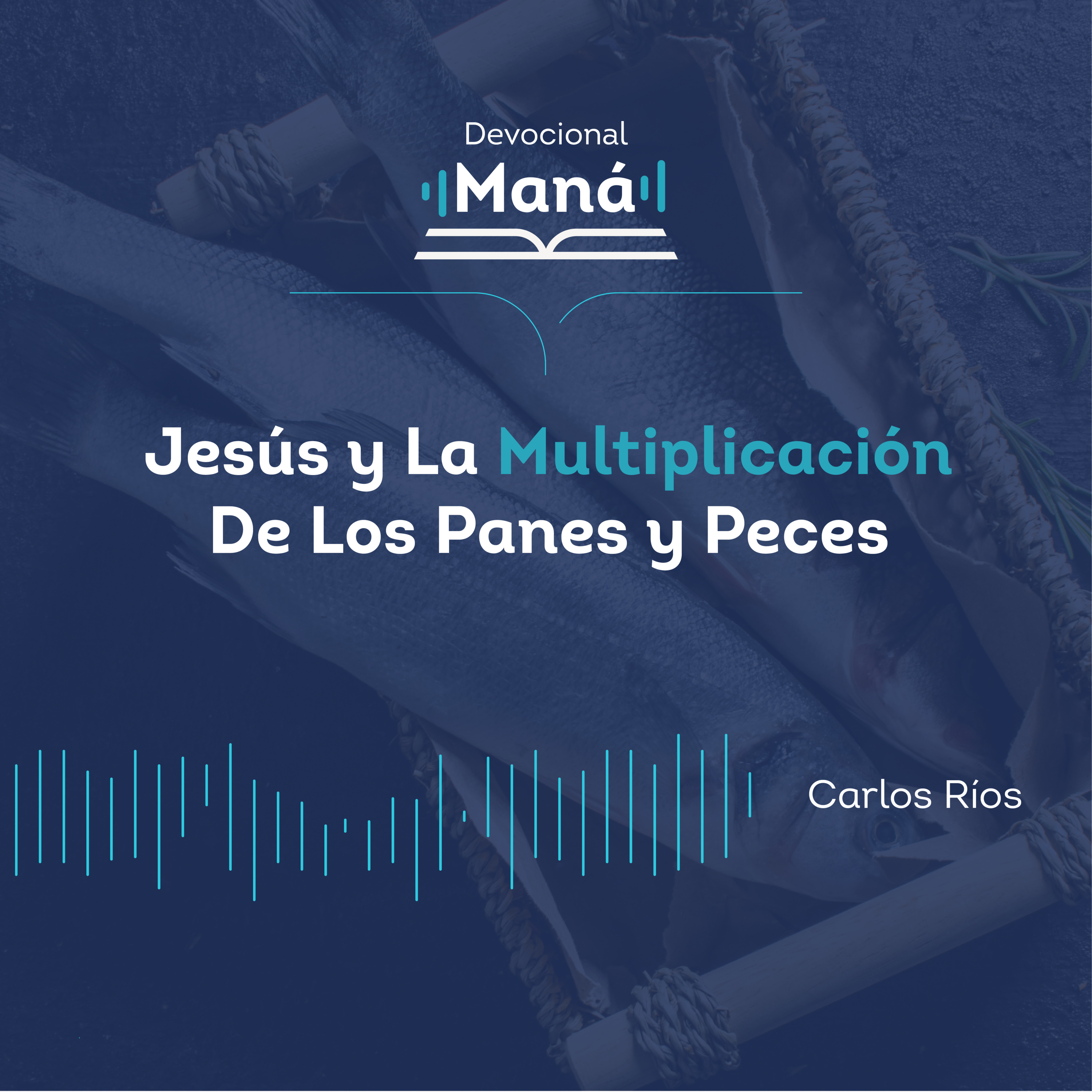 Portada de Devocional Maná
