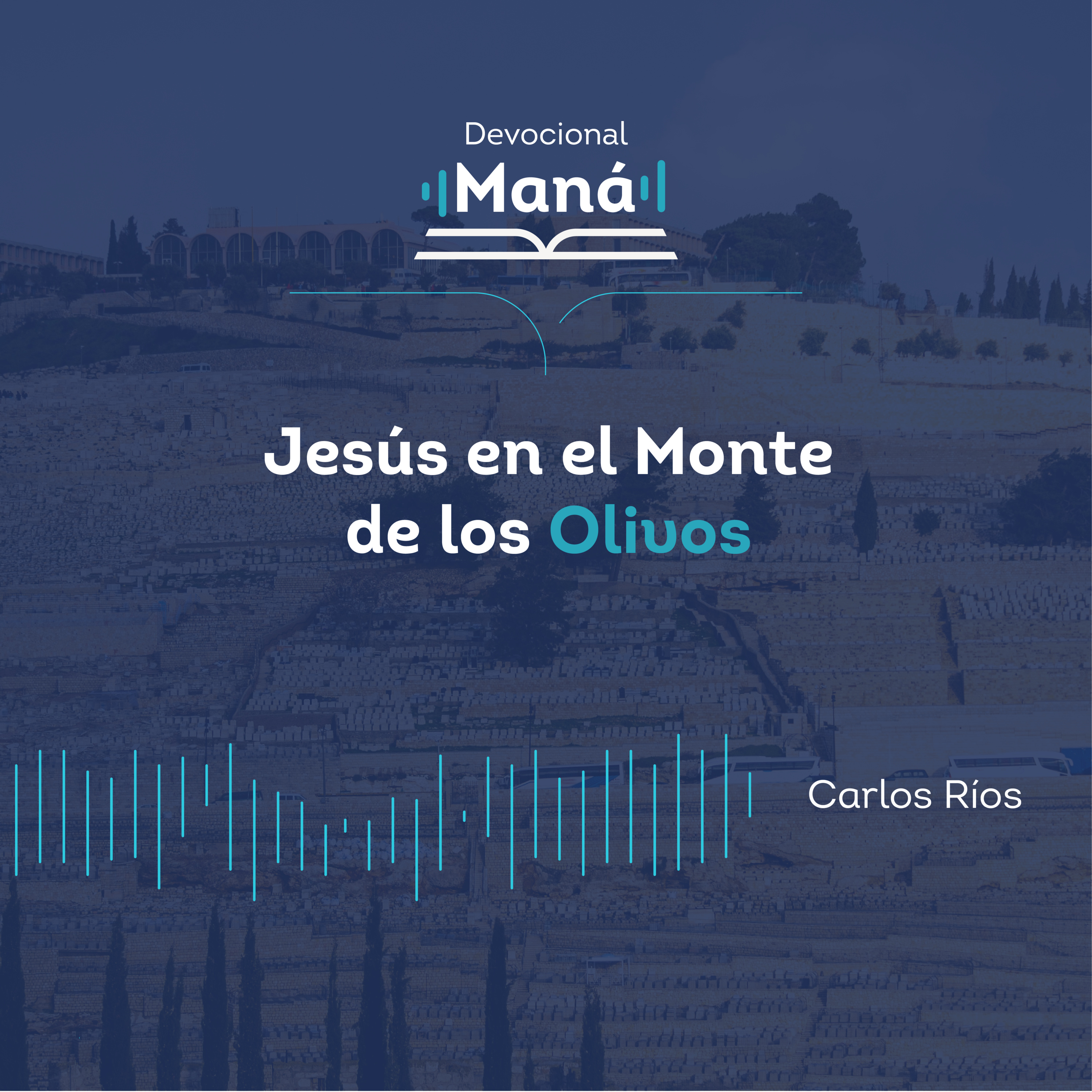 Portada de Devocional Maná