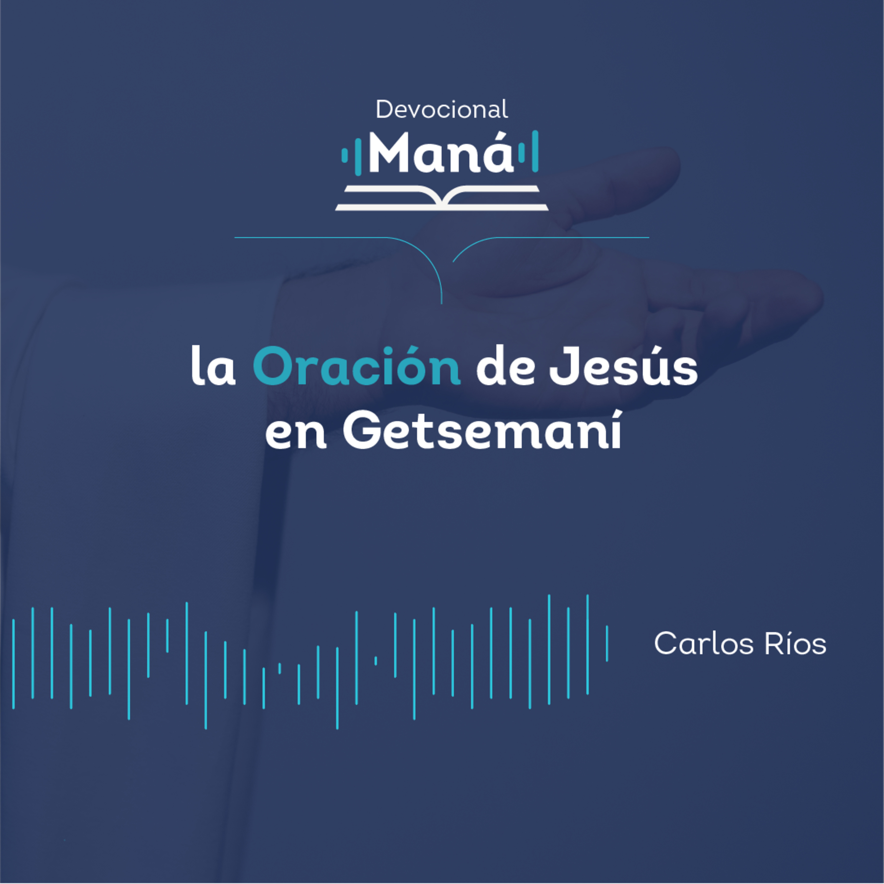 Portada de Devocional Maná