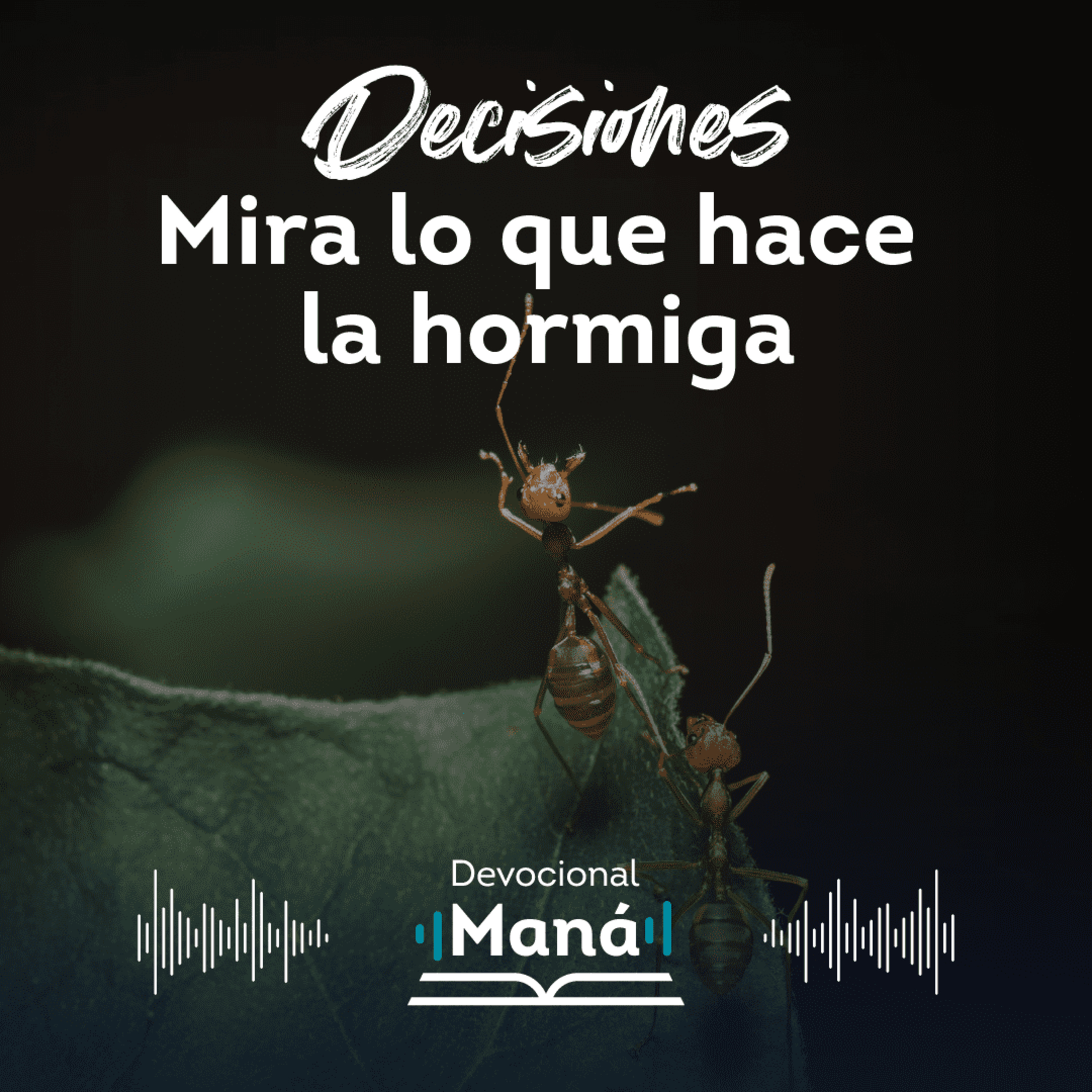 Devocional Maná