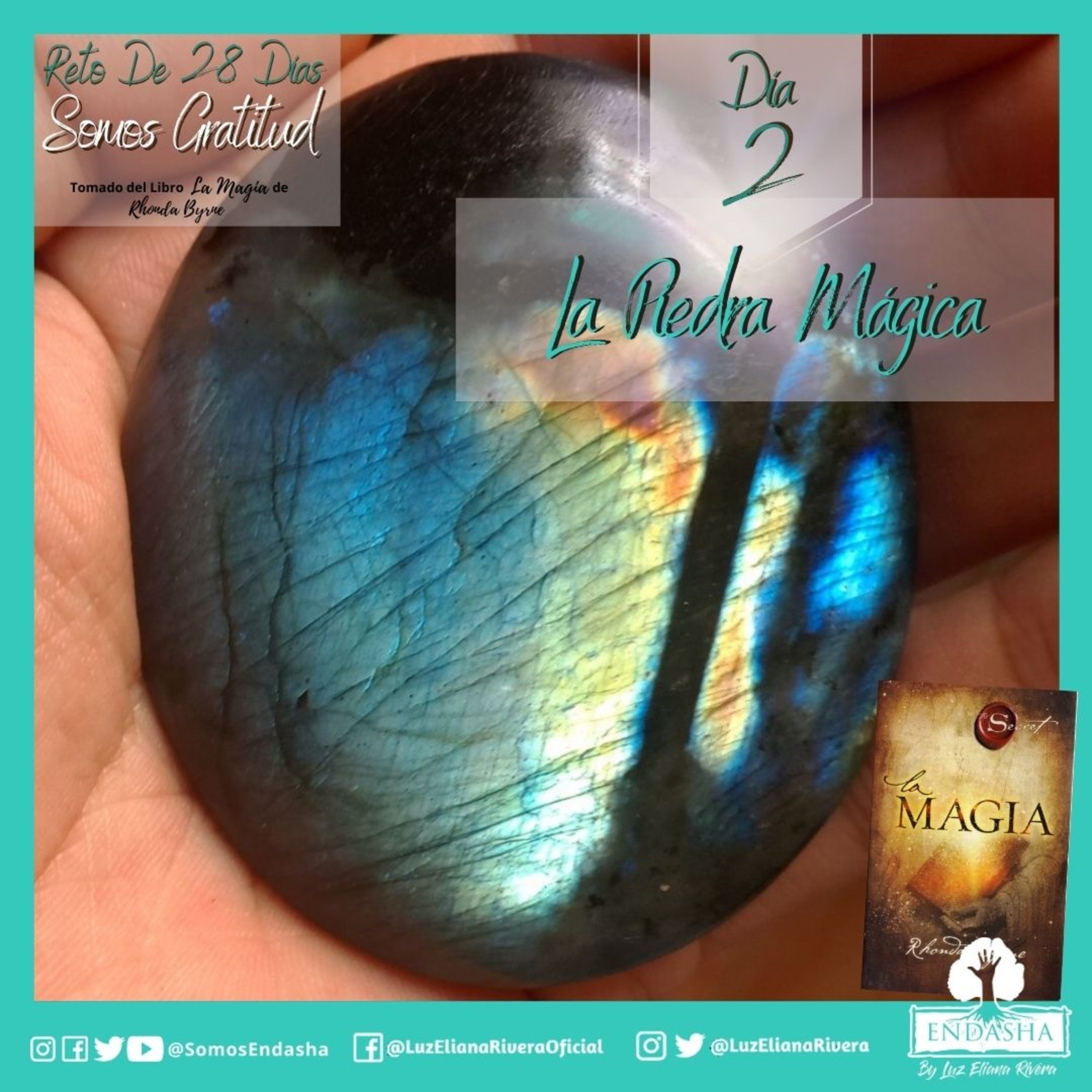 28 Días en Gratitud