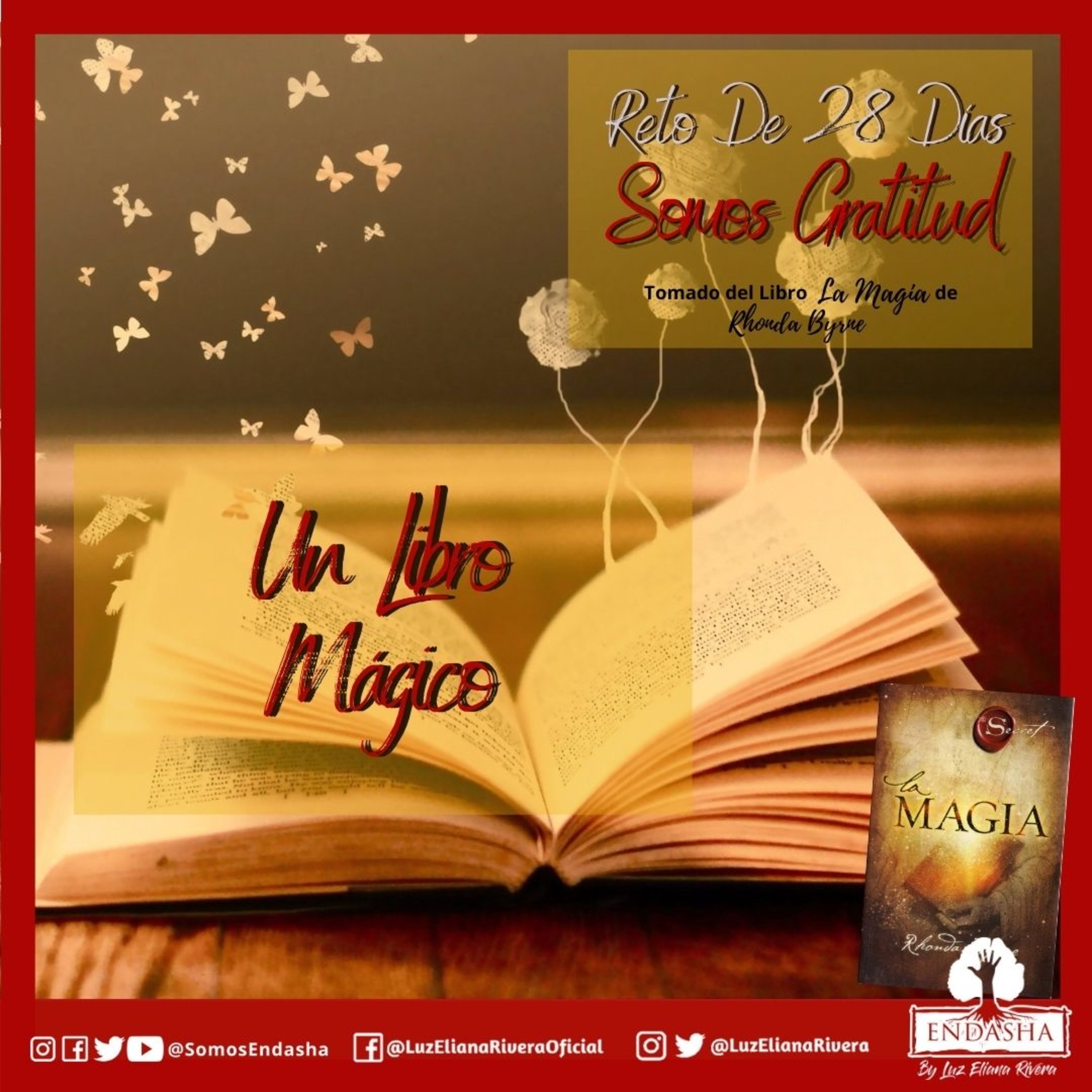 28 Días en Gratitud