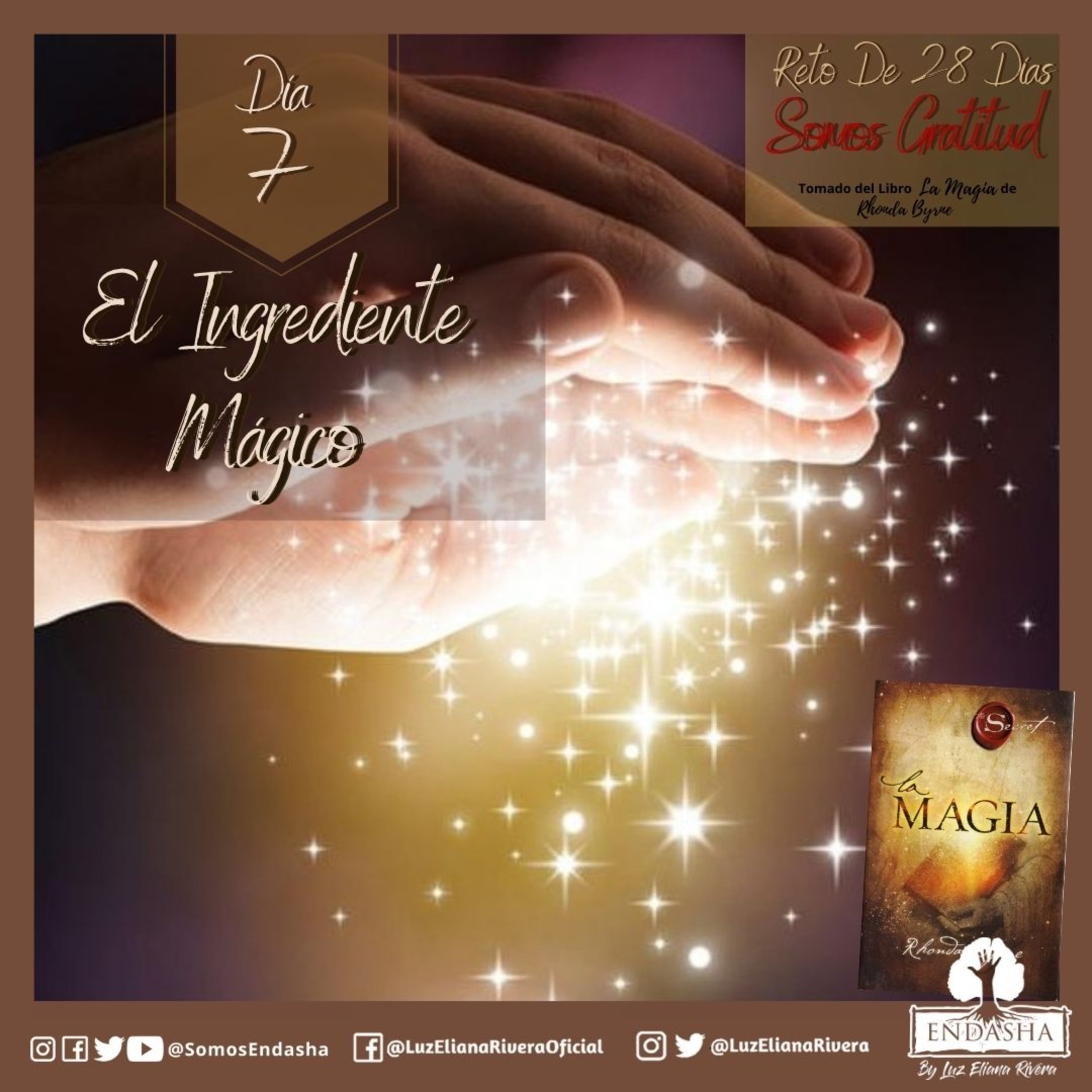 28 Días en Gratitud