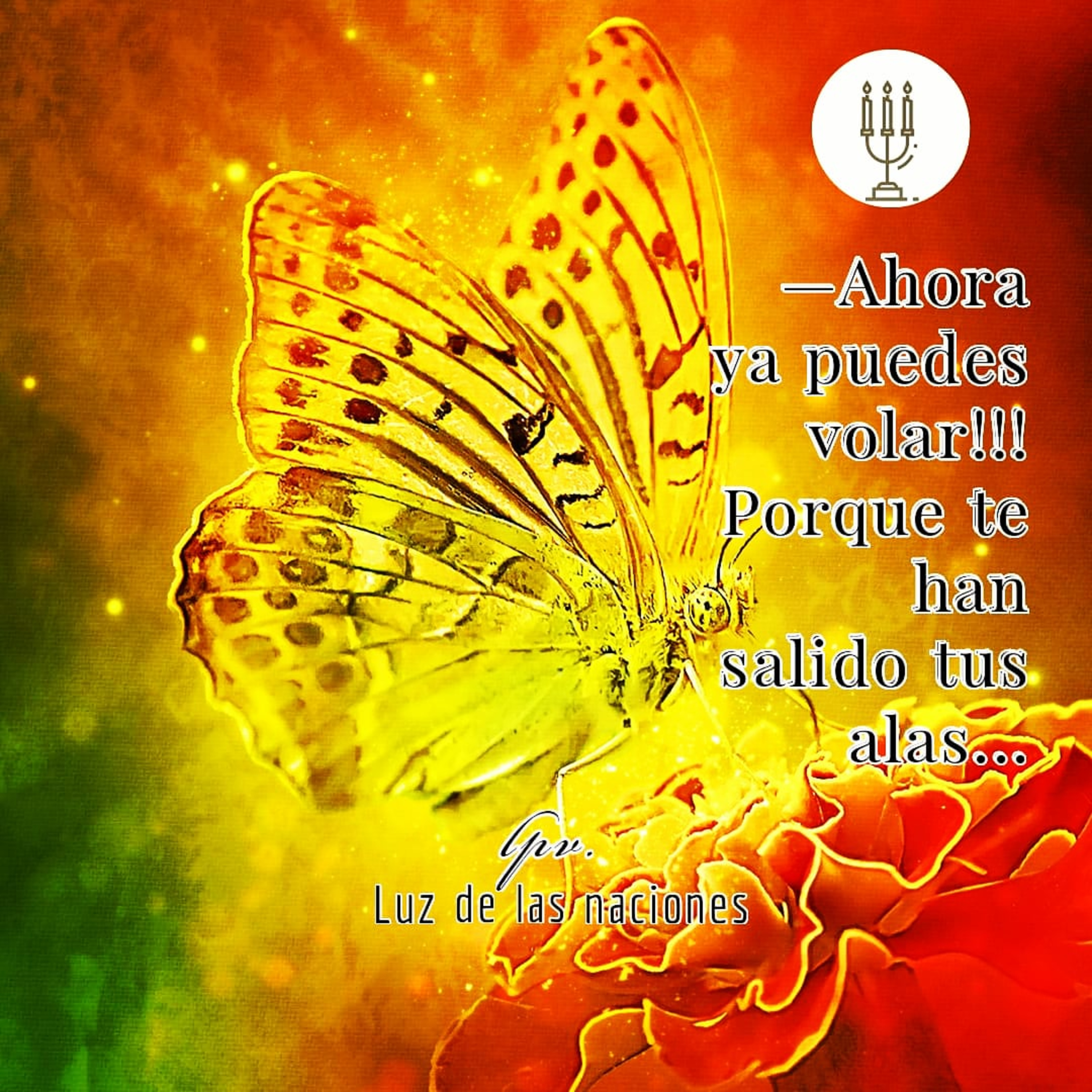 Luz De Las Naciones