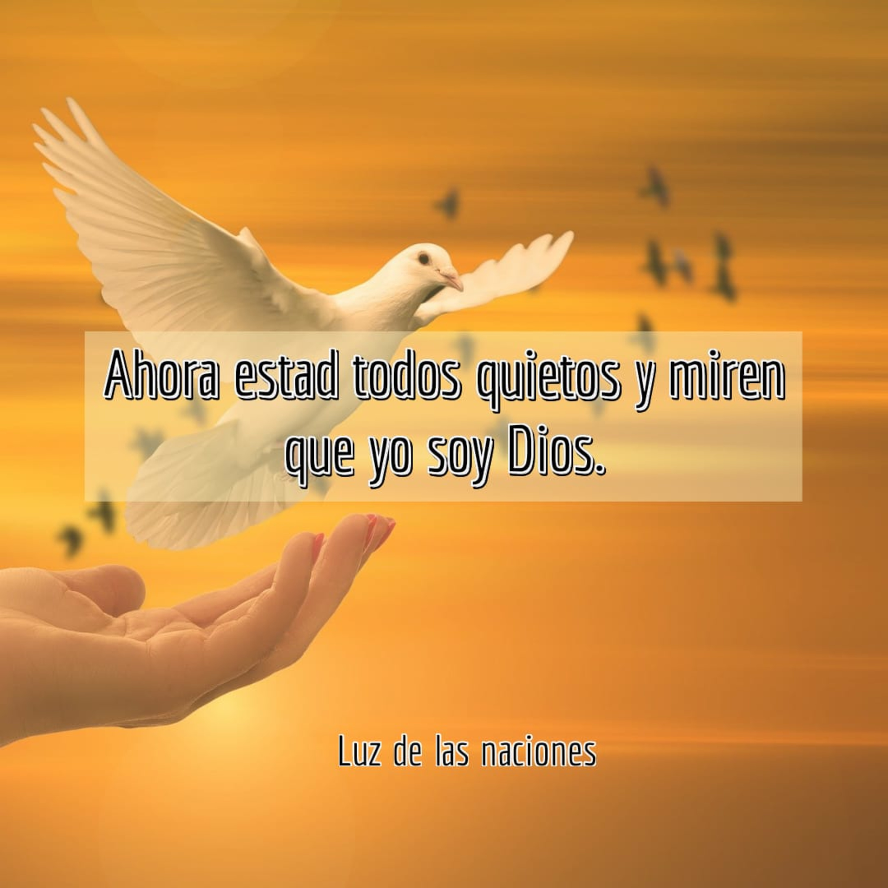Luz De Las Naciones