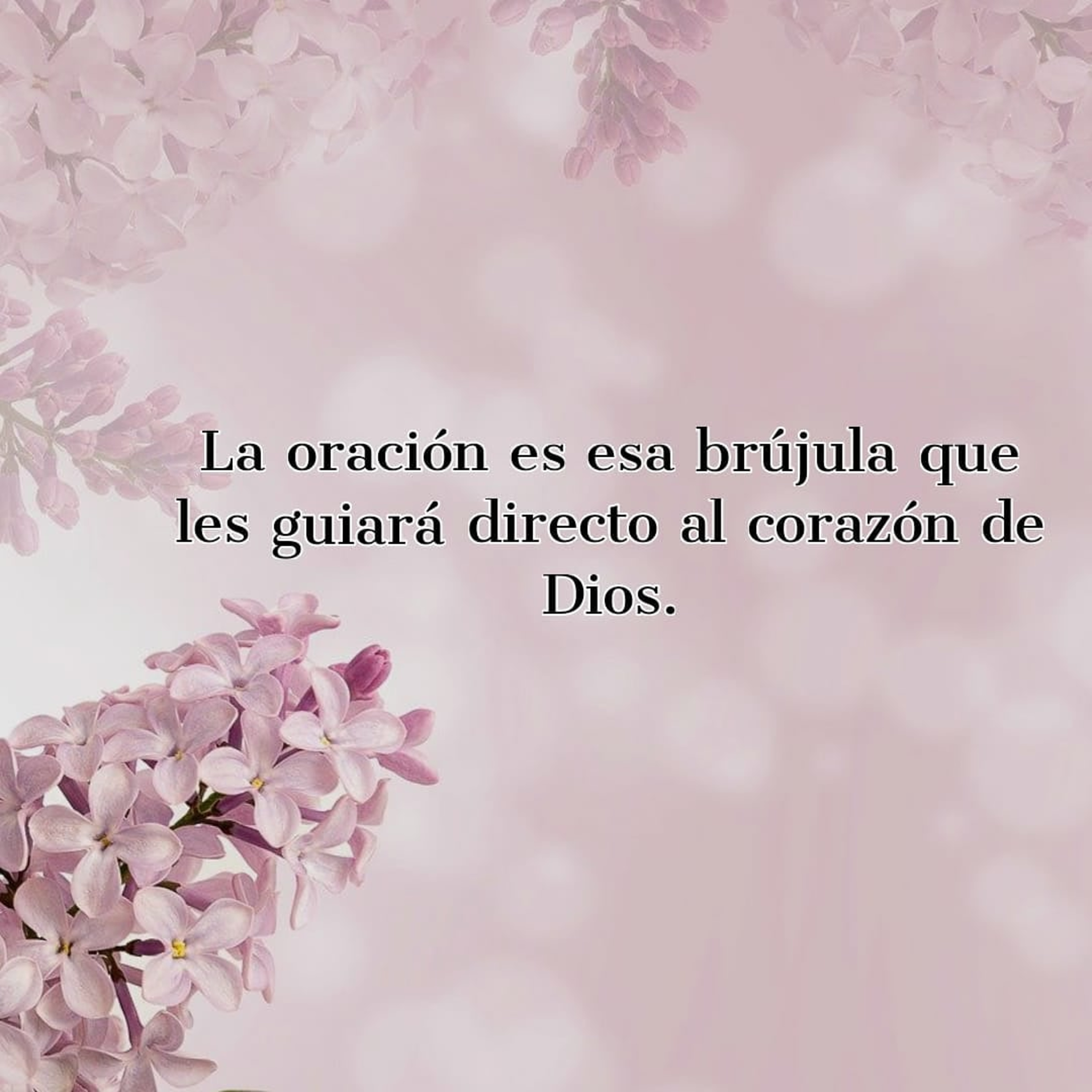 Luz De Las Naciones