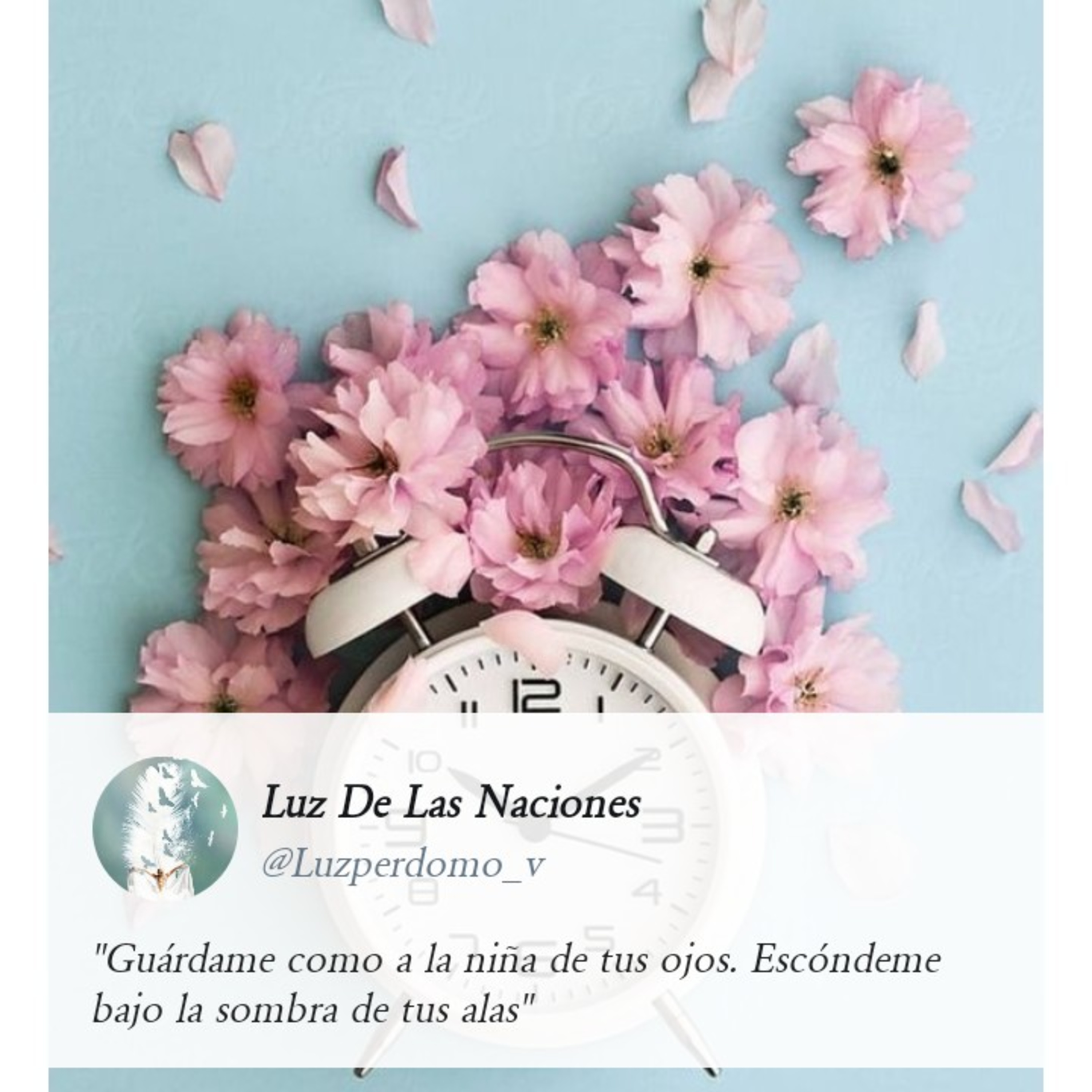 Luz De Las Naciones