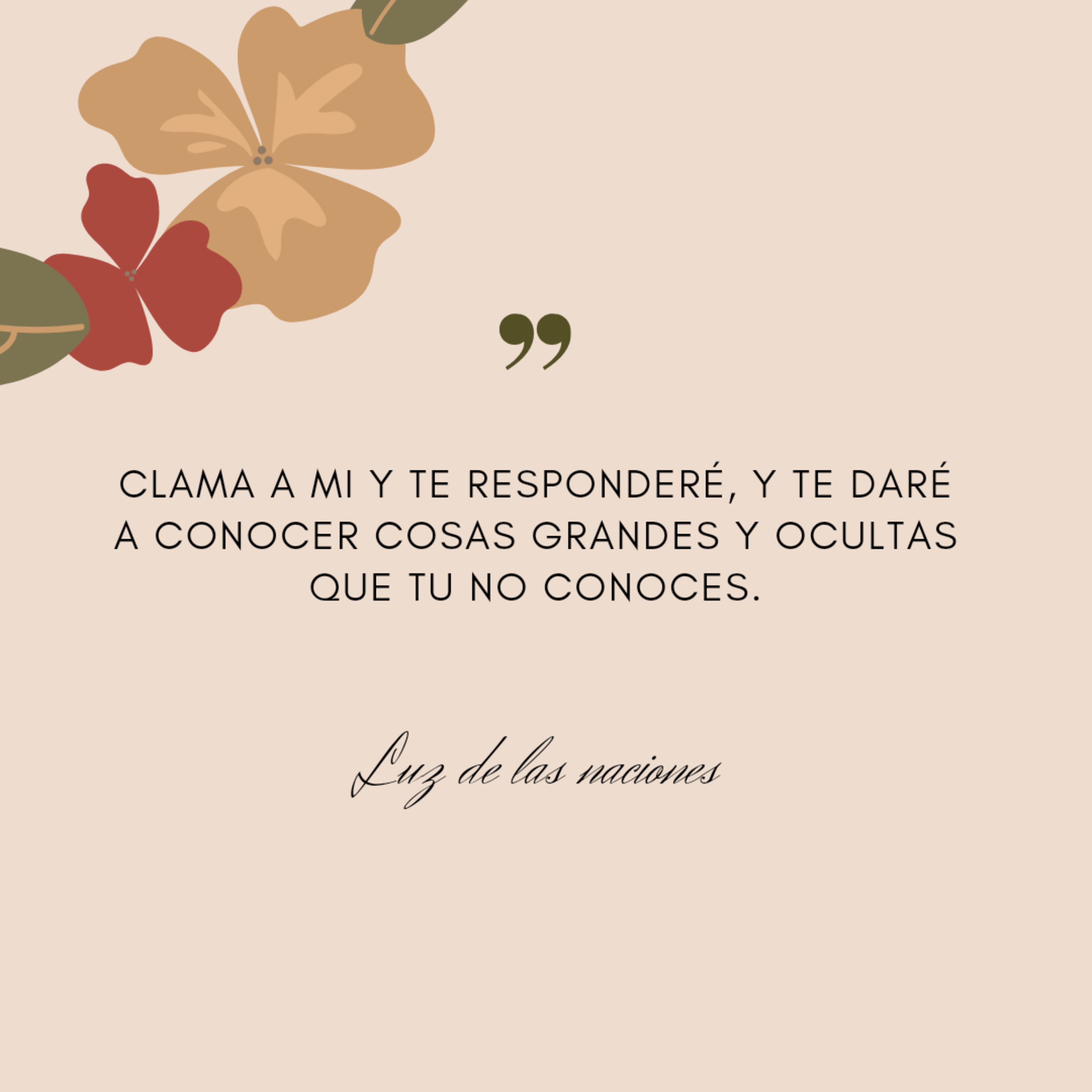 Luz De Las Naciones