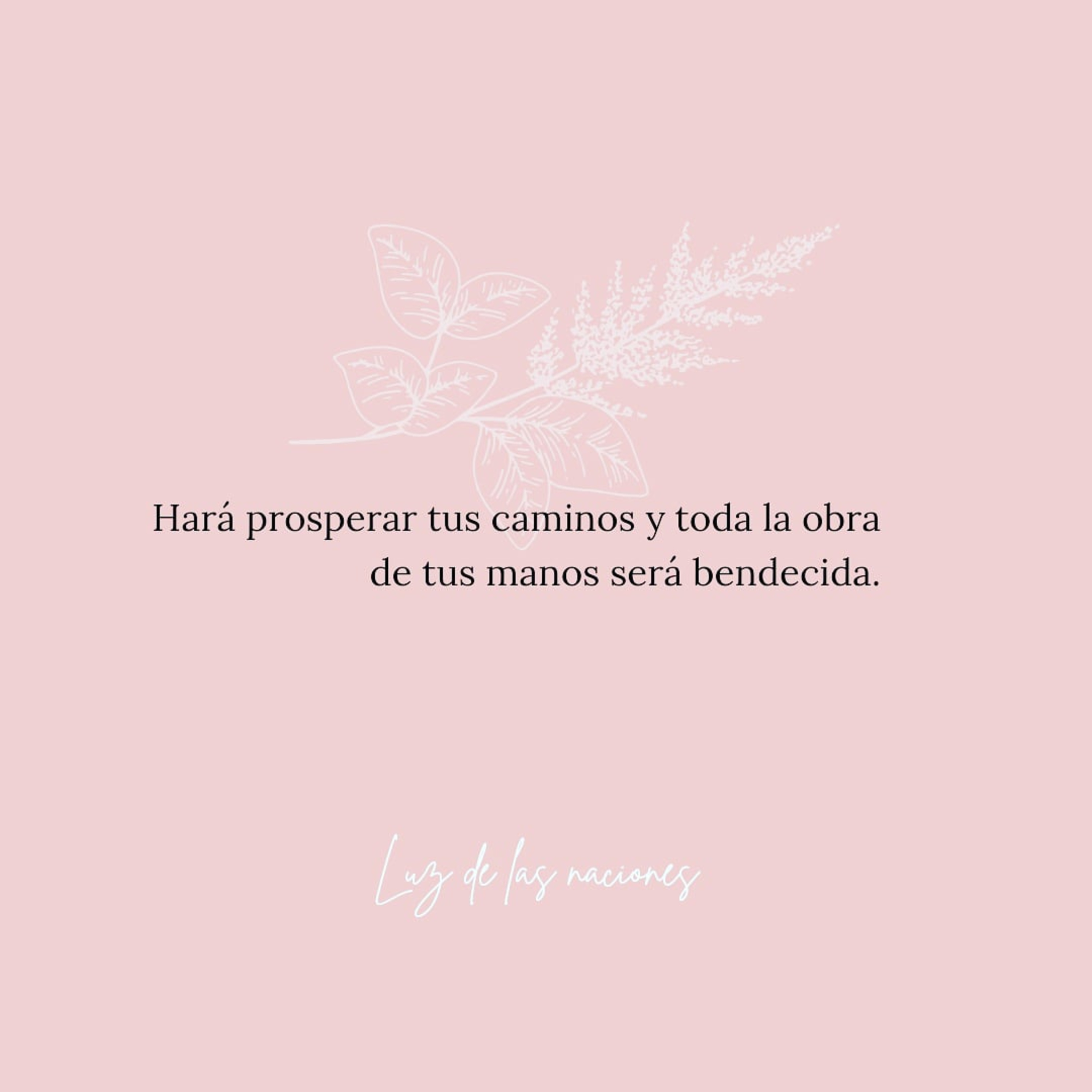 Luz De Las Naciones