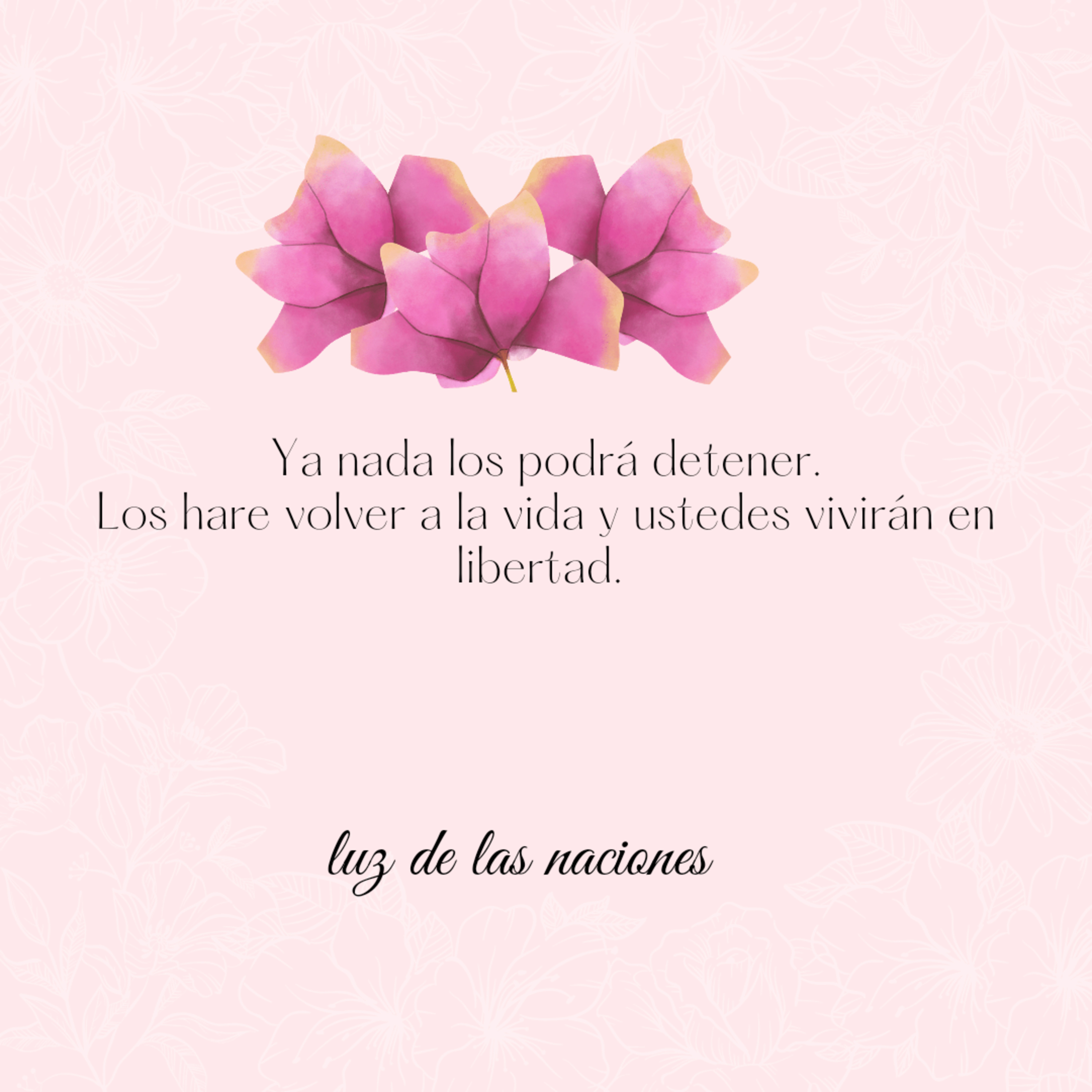 Luz De Las Naciones