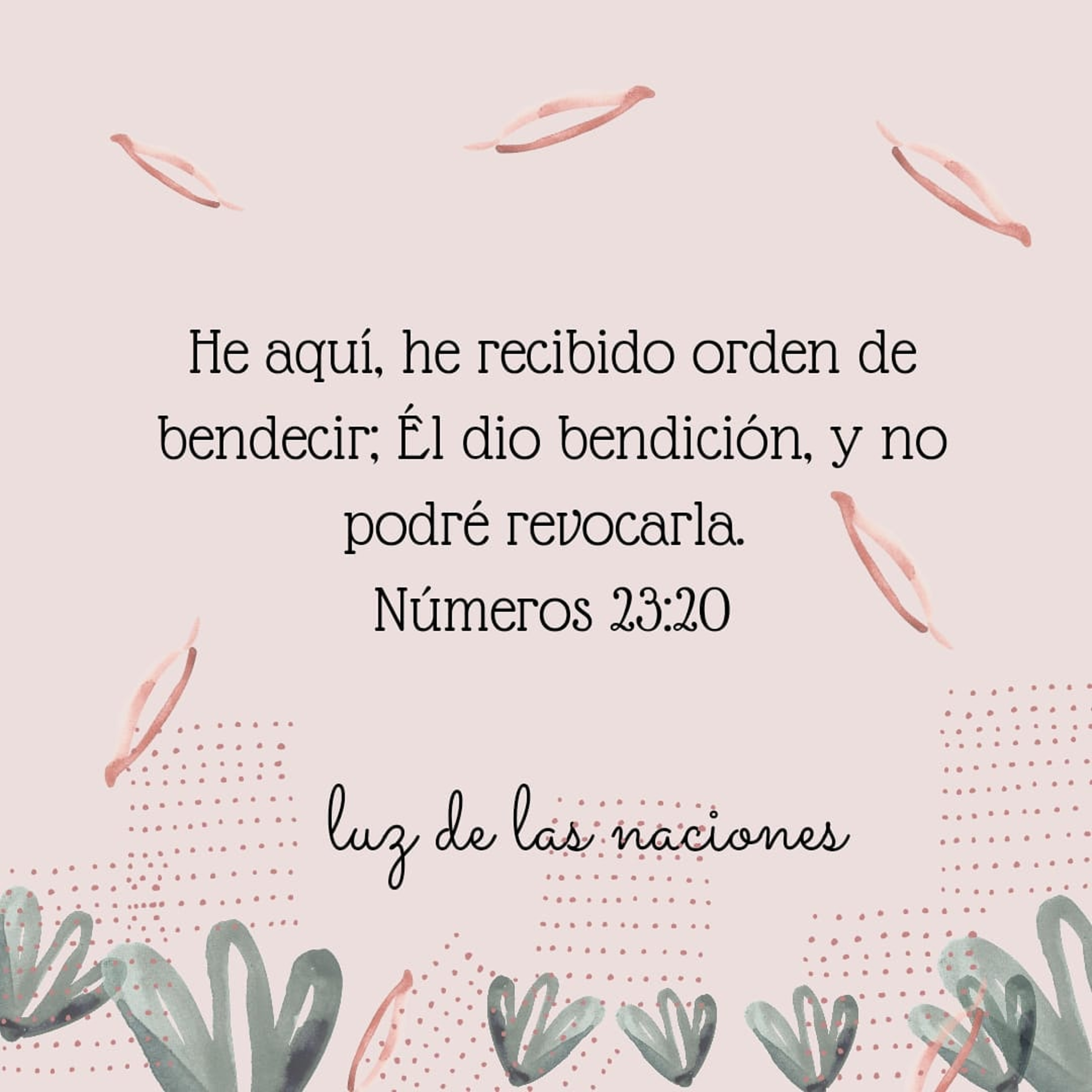 Luz De Las Naciones