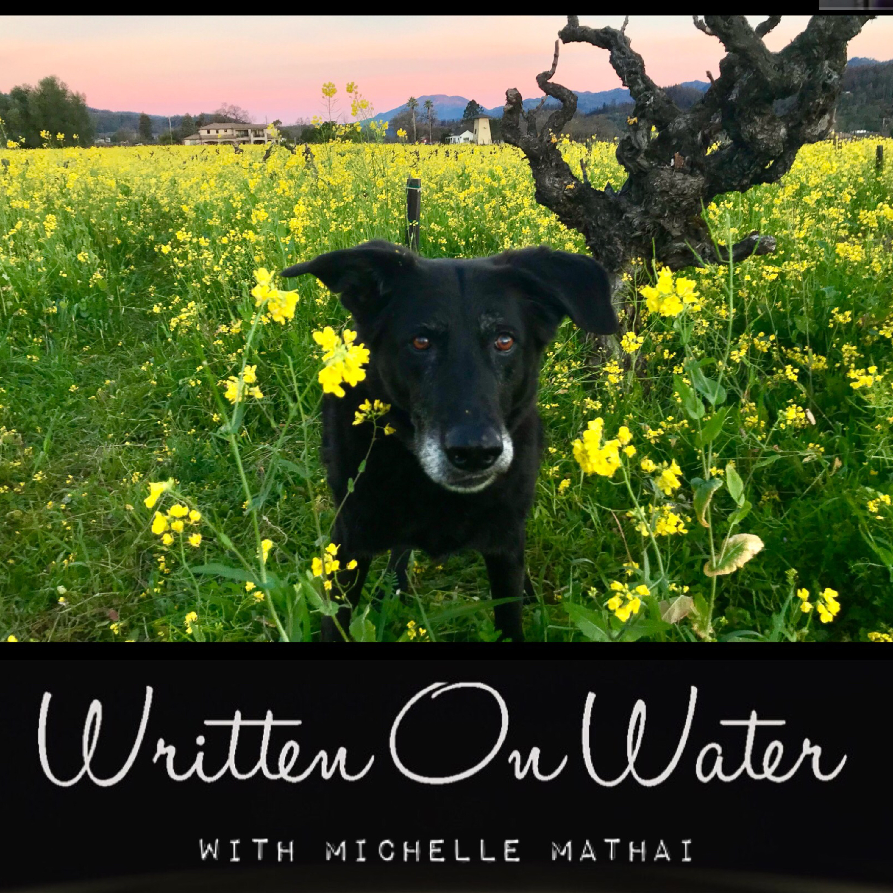 Written On Water with Michelle Mathai