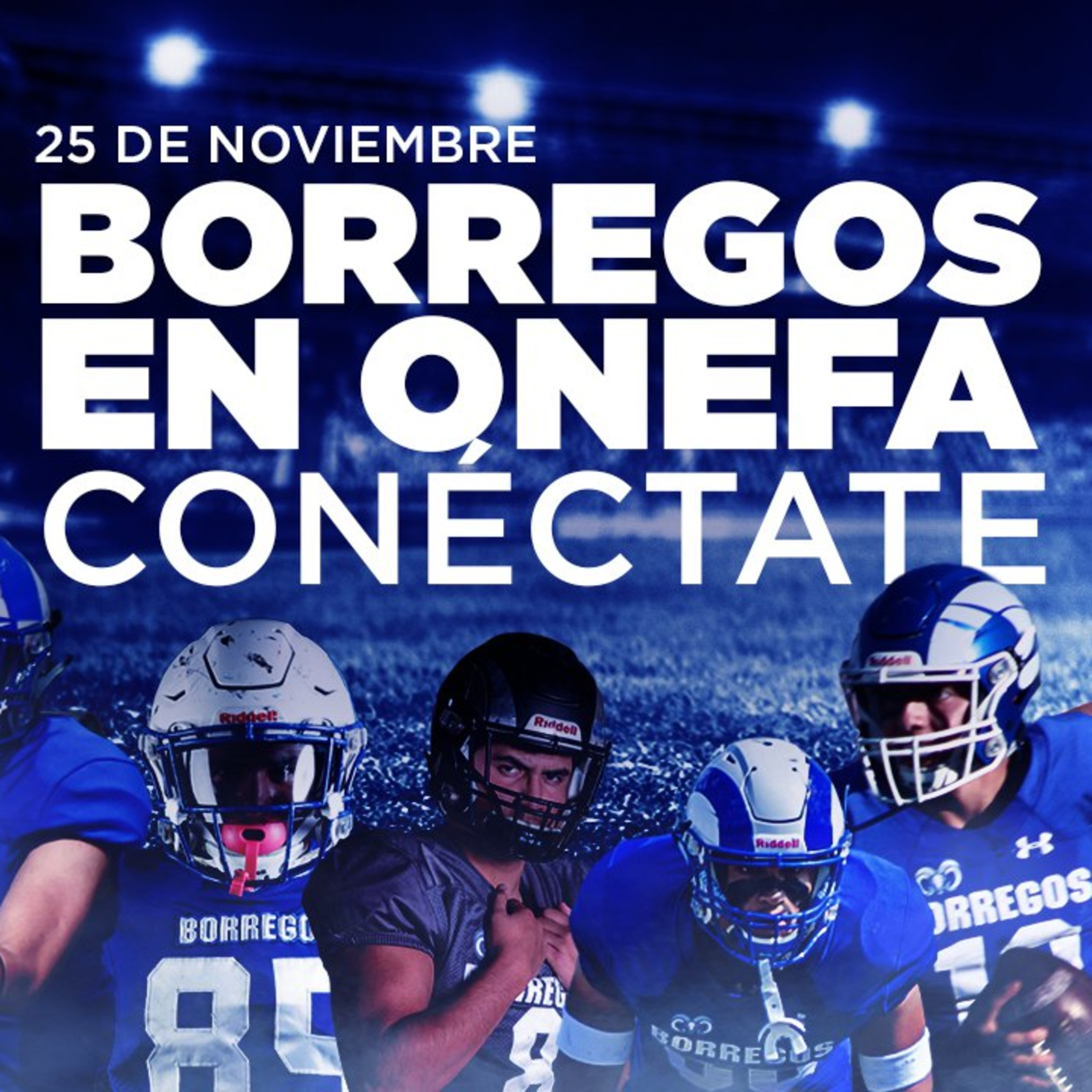 BORREGOS EN ONEFA episode artwork
