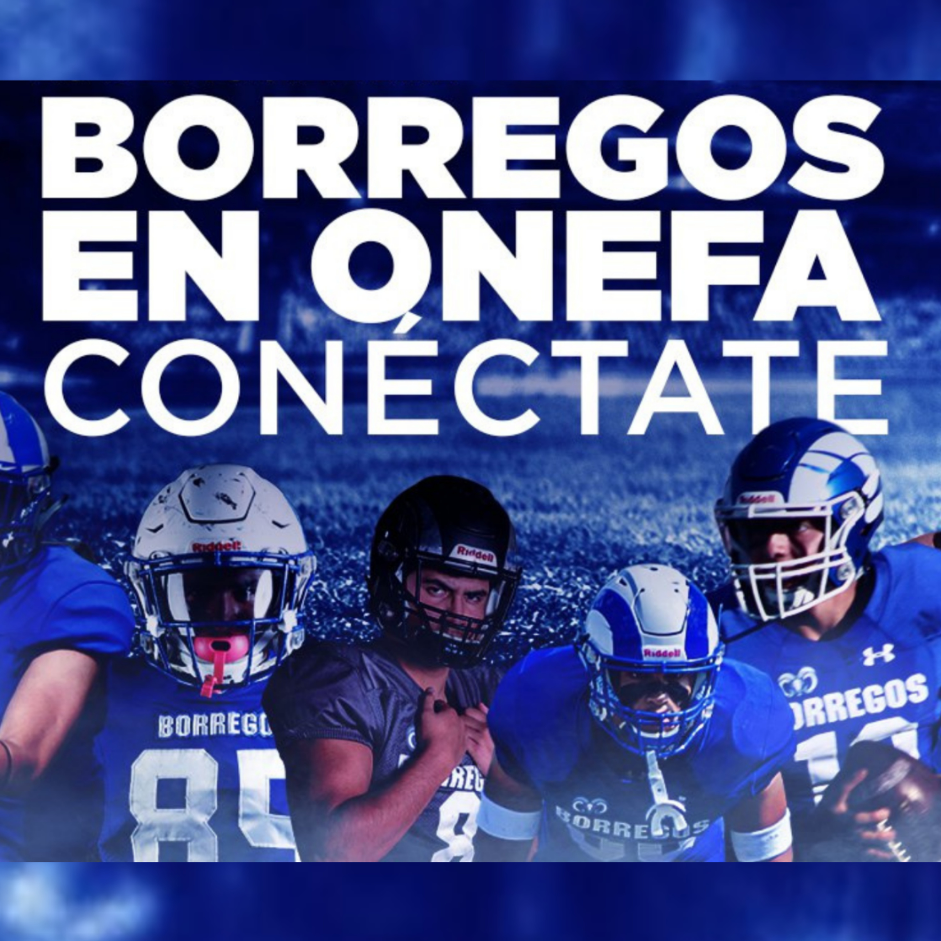 BORREGOS QUERÉTARO EN ONEFA episode artwork
