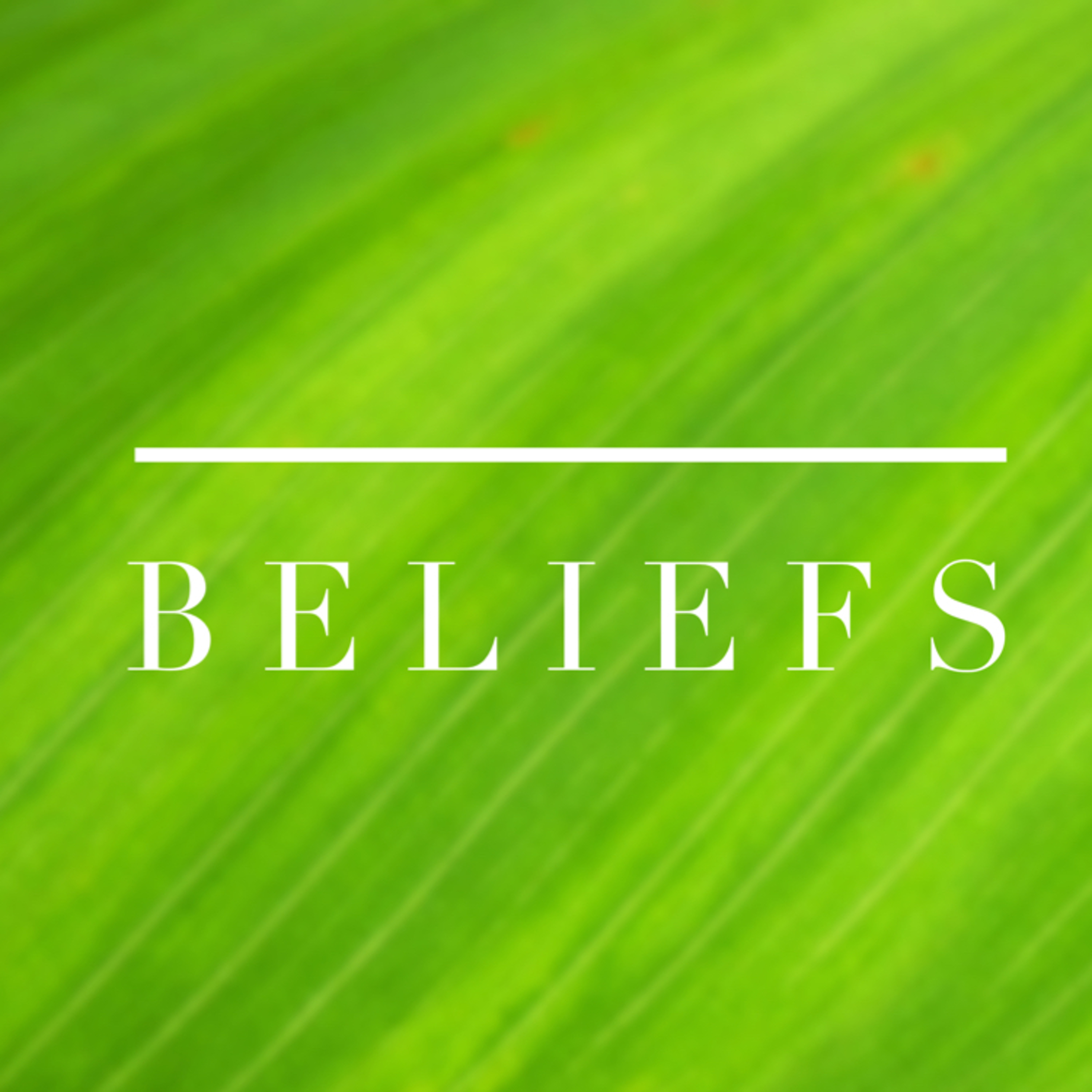 My Beliefs Are Just Thoughts I Keep Thinking