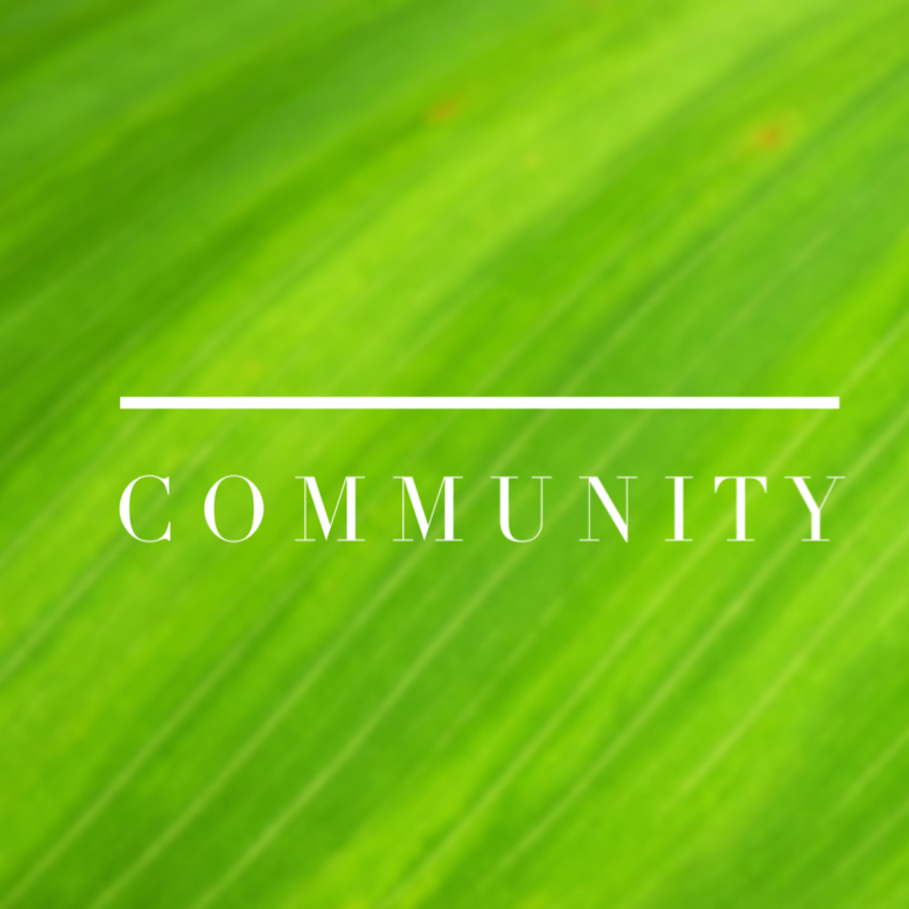 I Am Thankful For My Community