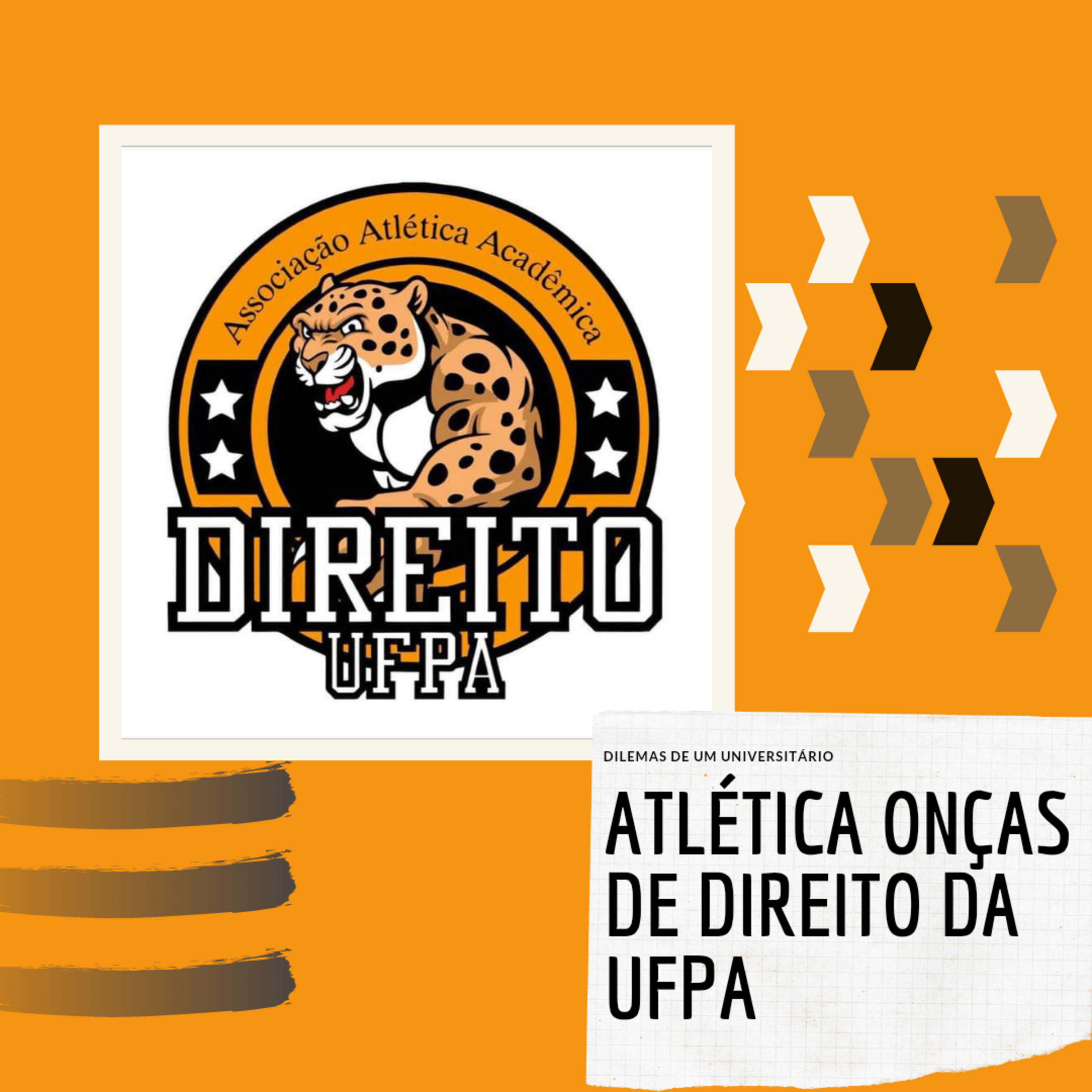 Dilemas de um Universitário