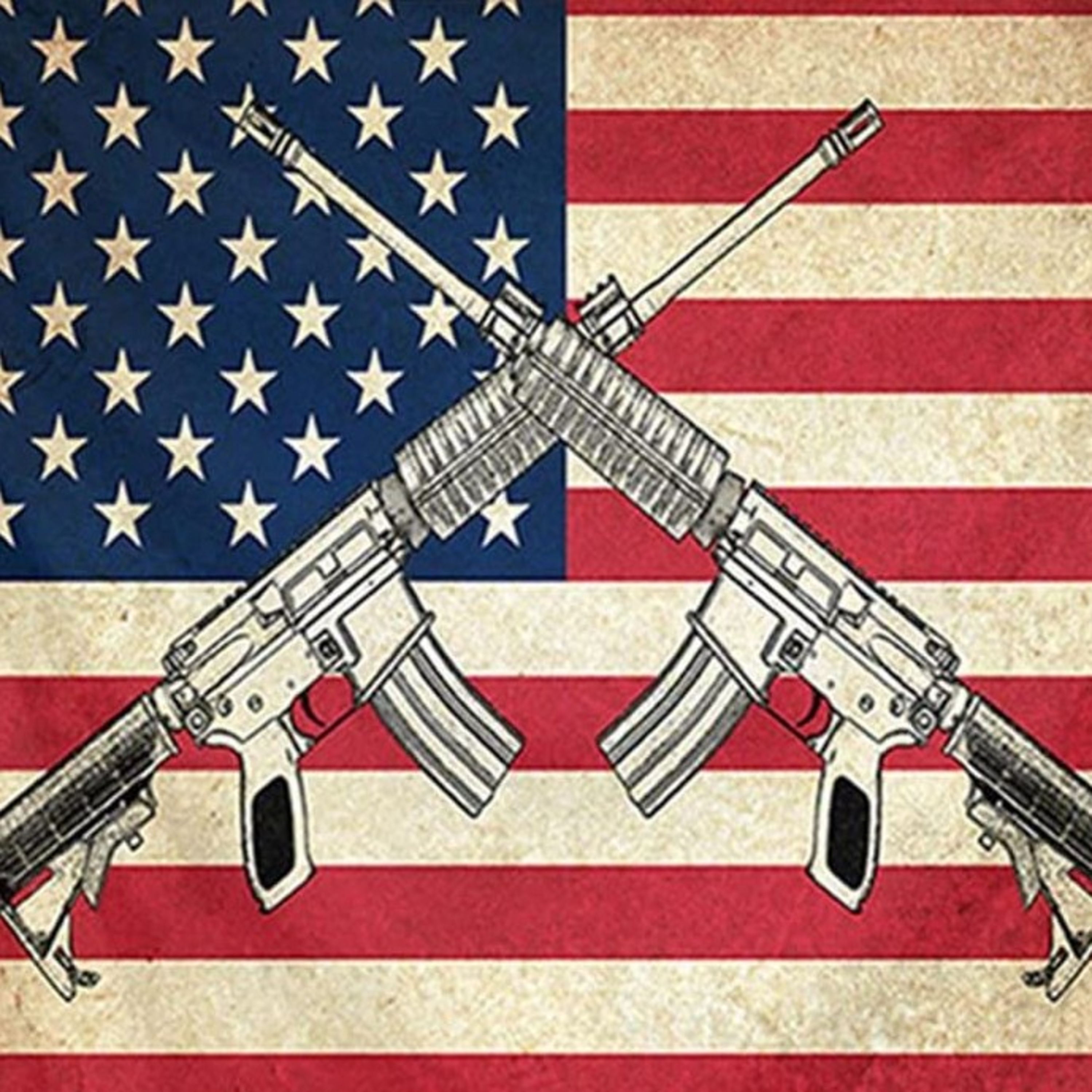 Gun Control Debate episode artwork